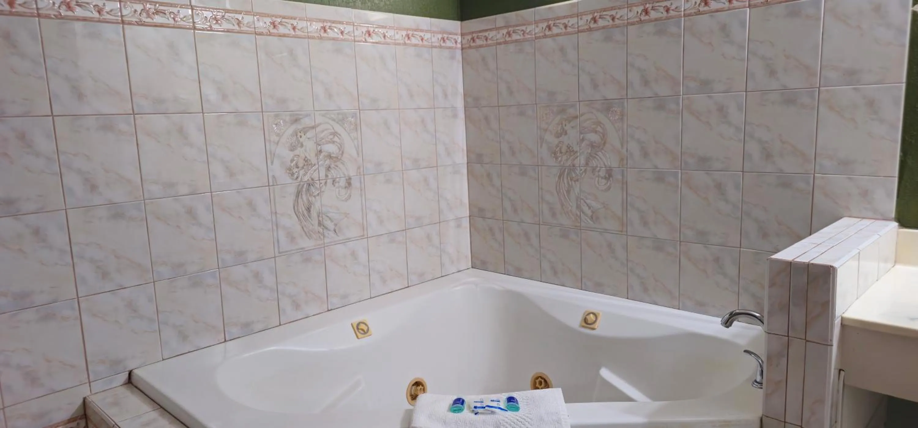 Sycamore Inn Chico University Area