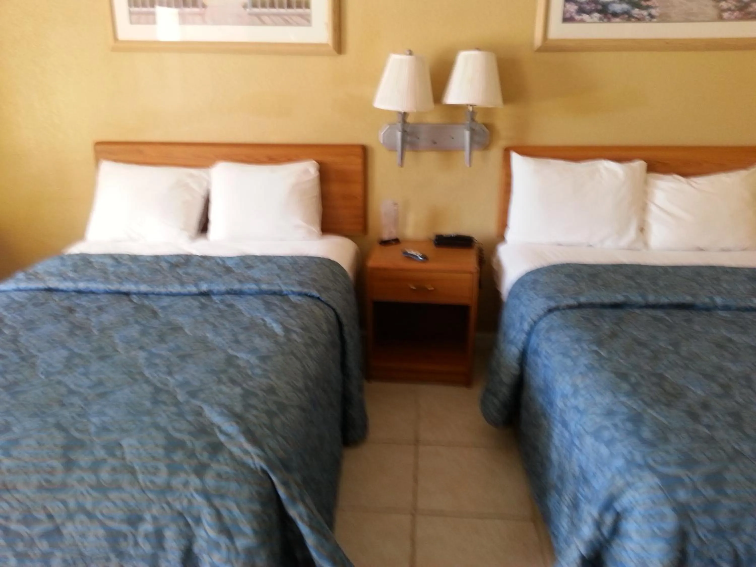 Bed in Budget Lodge Mount Dora