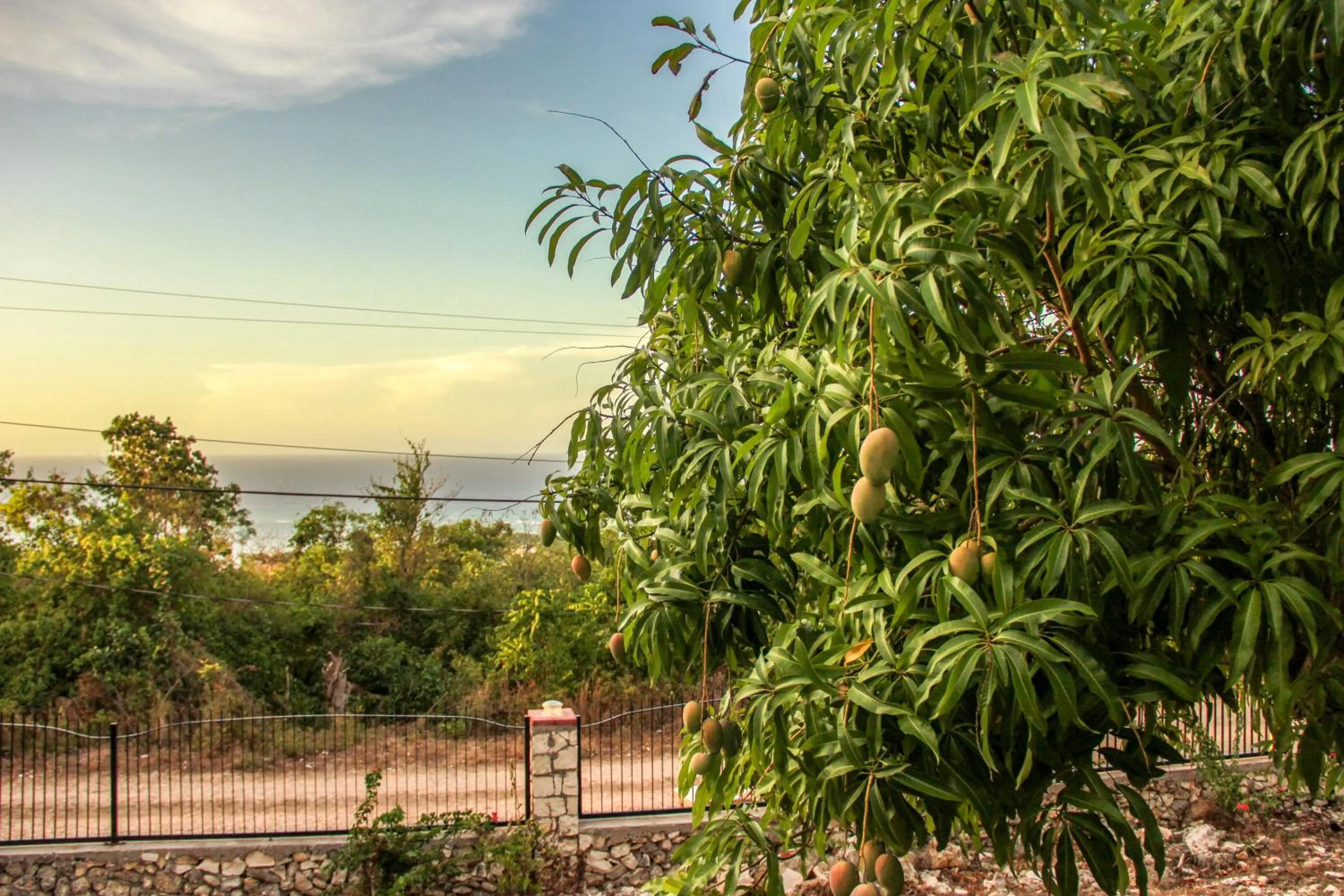 Natural landscape in Sunshine Lodge: Your home away from home