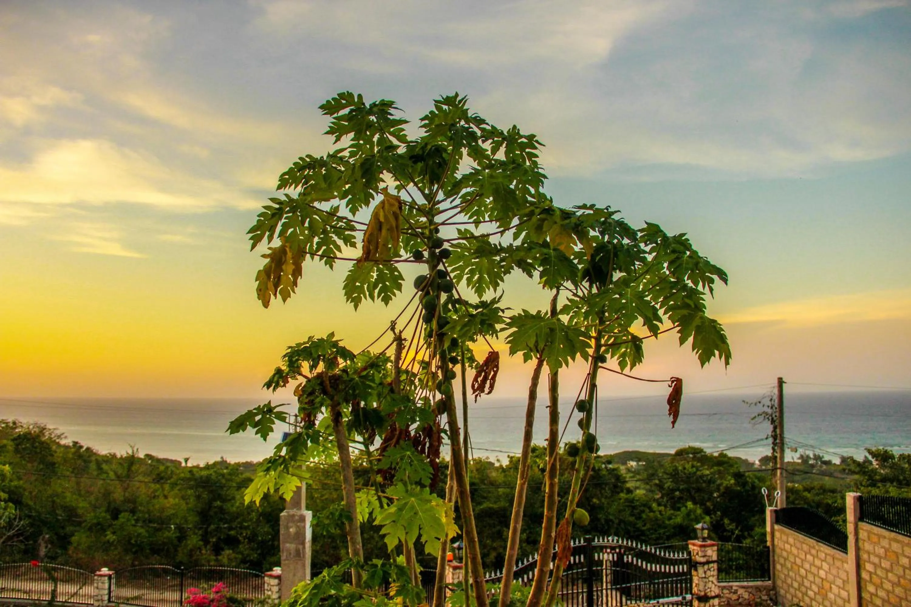 Property building in Sunshine Lodge: Your home away from home