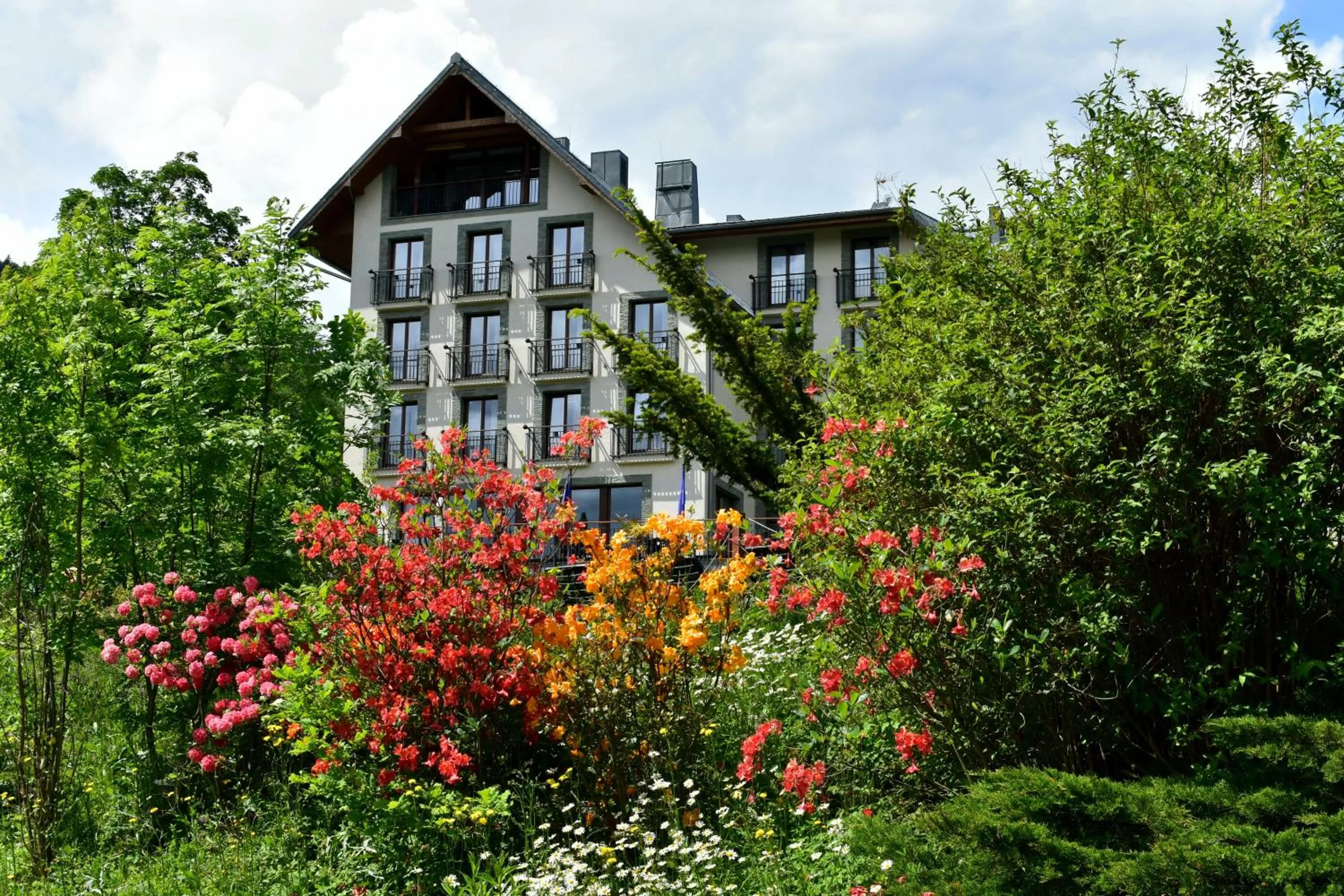 Beltine Forest Hotel