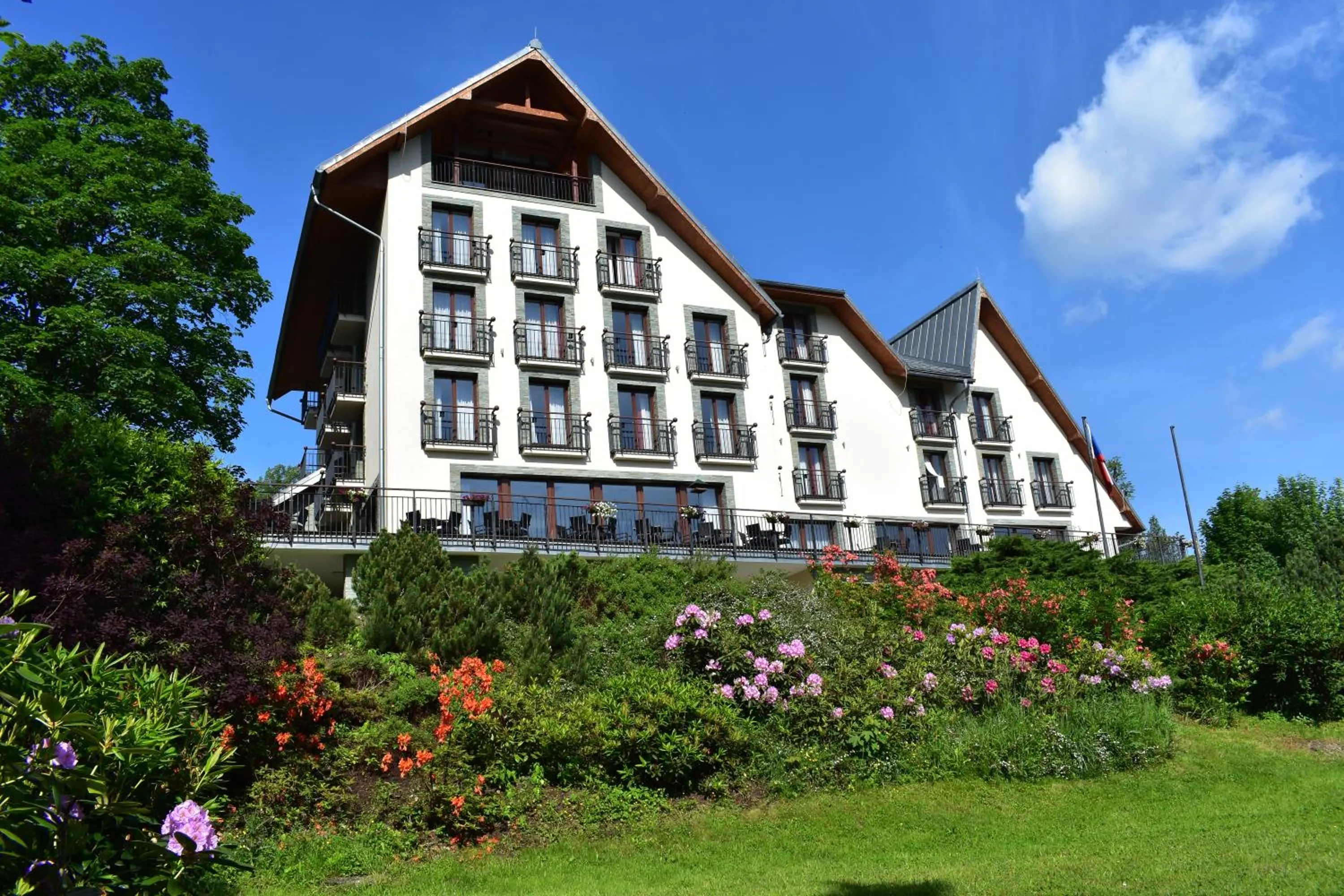 Beltine Forest Hotel