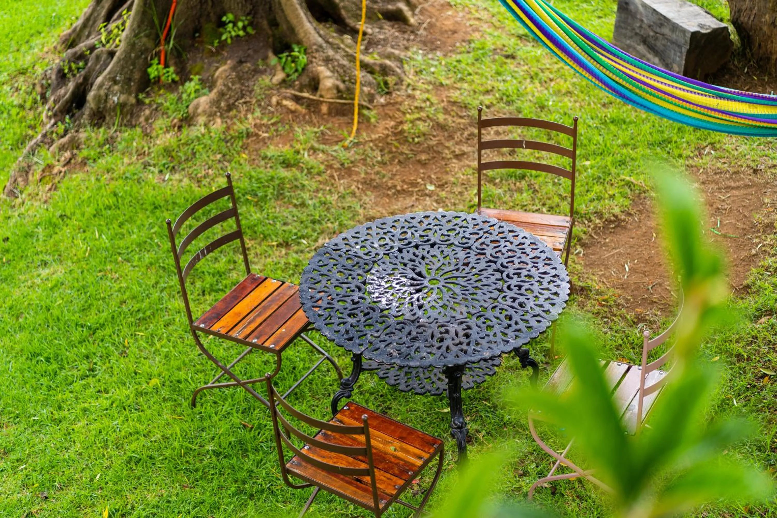 Garden view in Mision Patzcuaro