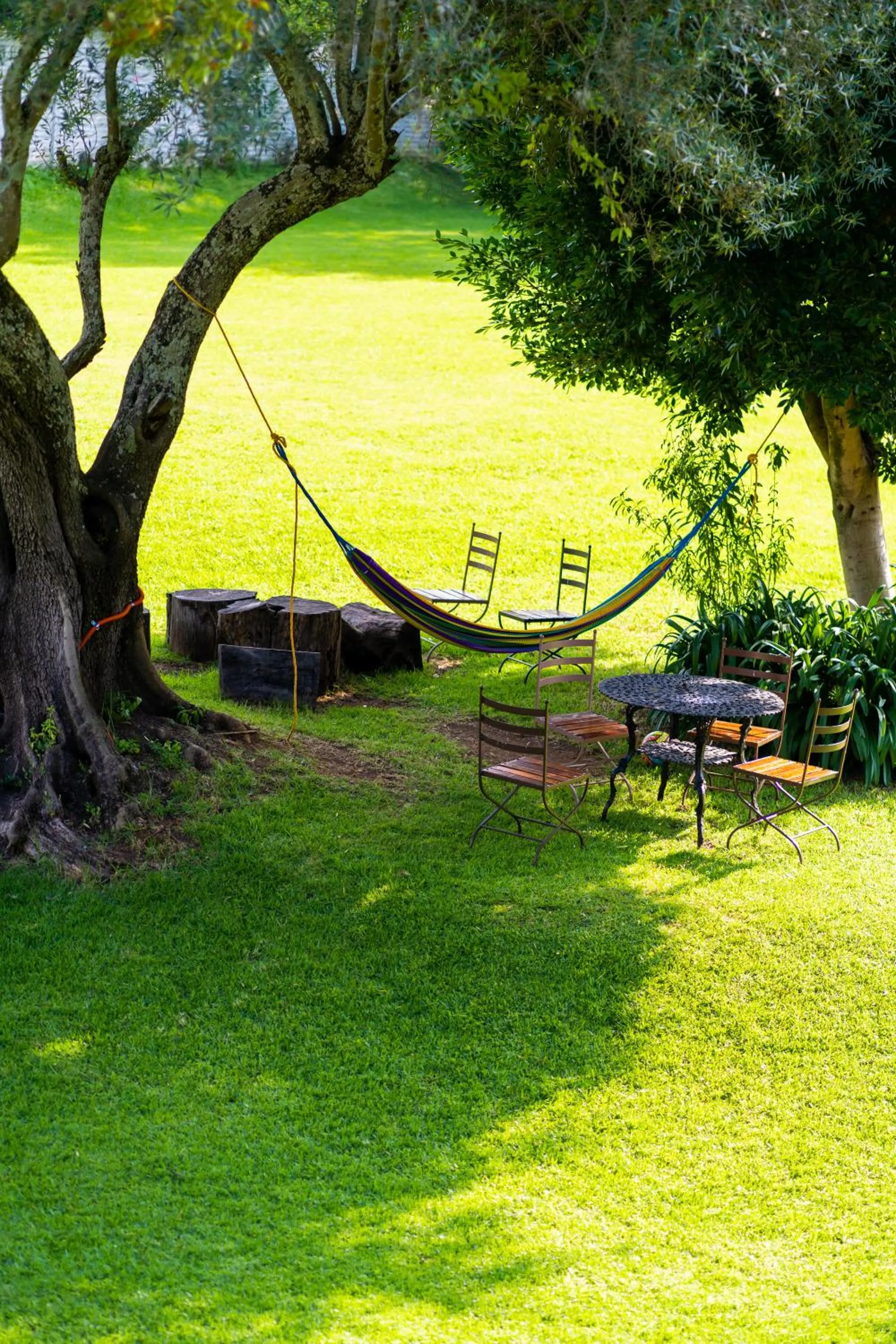 Garden in Mision Patzcuaro