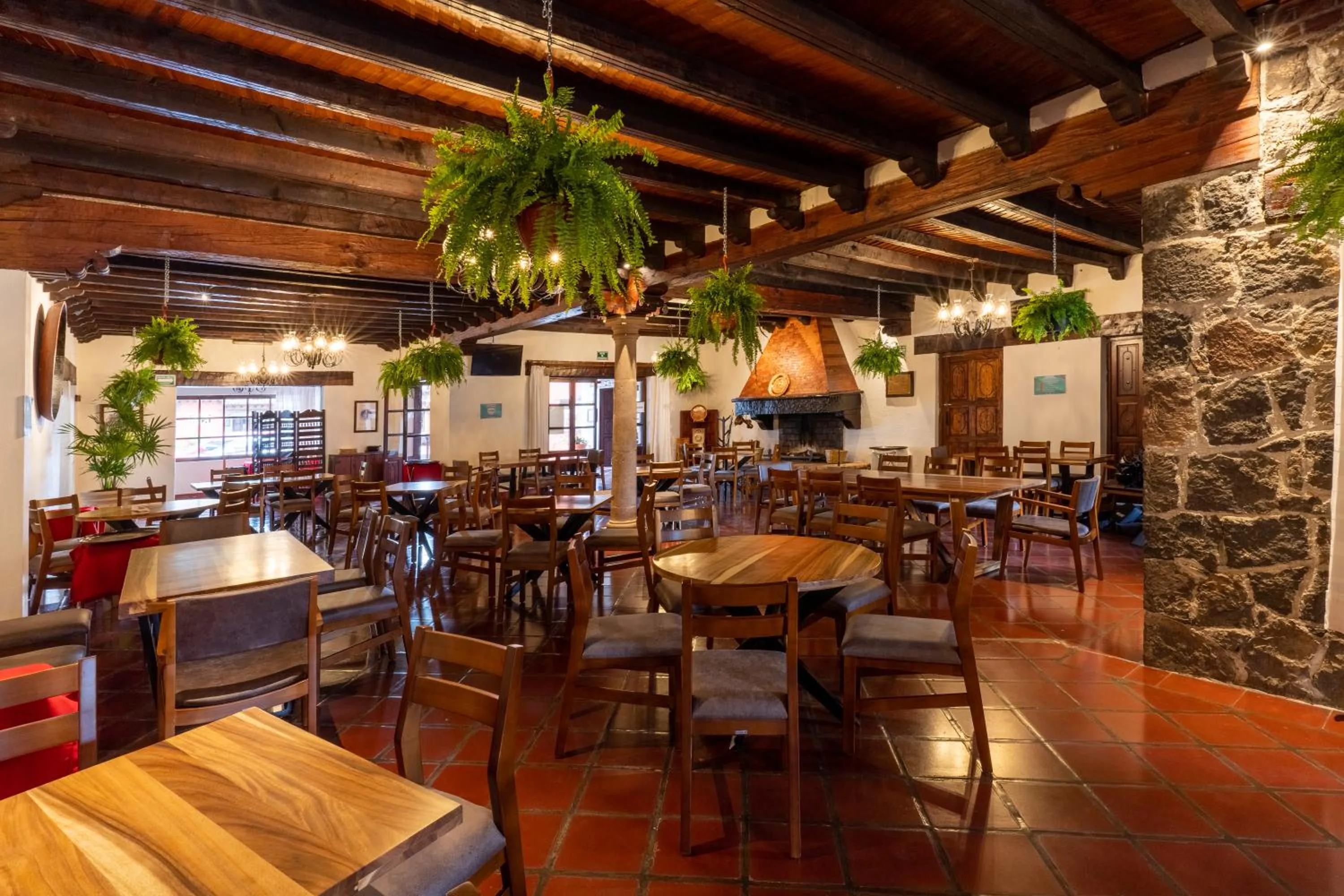 Restaurant/Places to Eat in Mision Patzcuaro