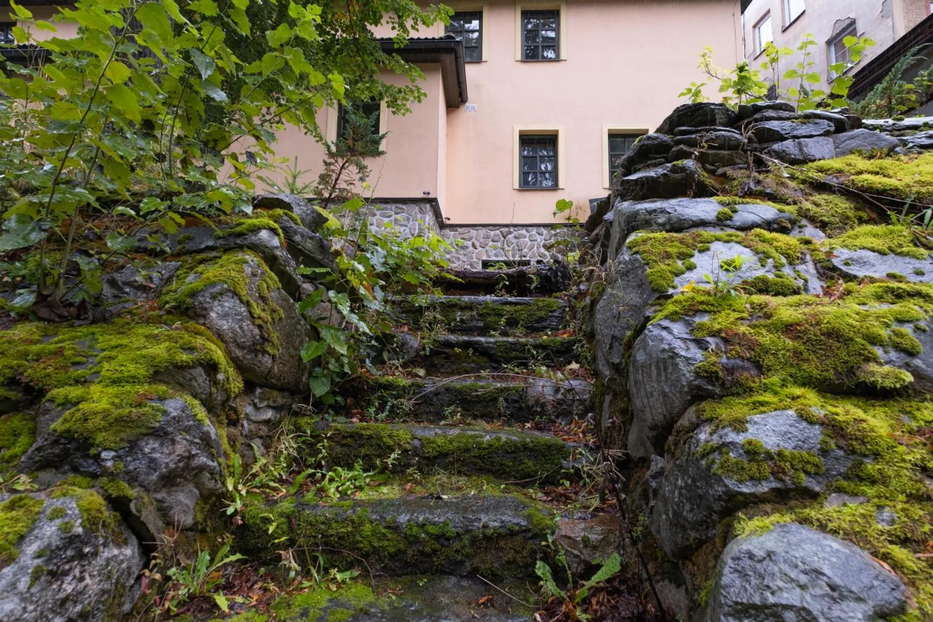 Garden view in Hotel Krokus