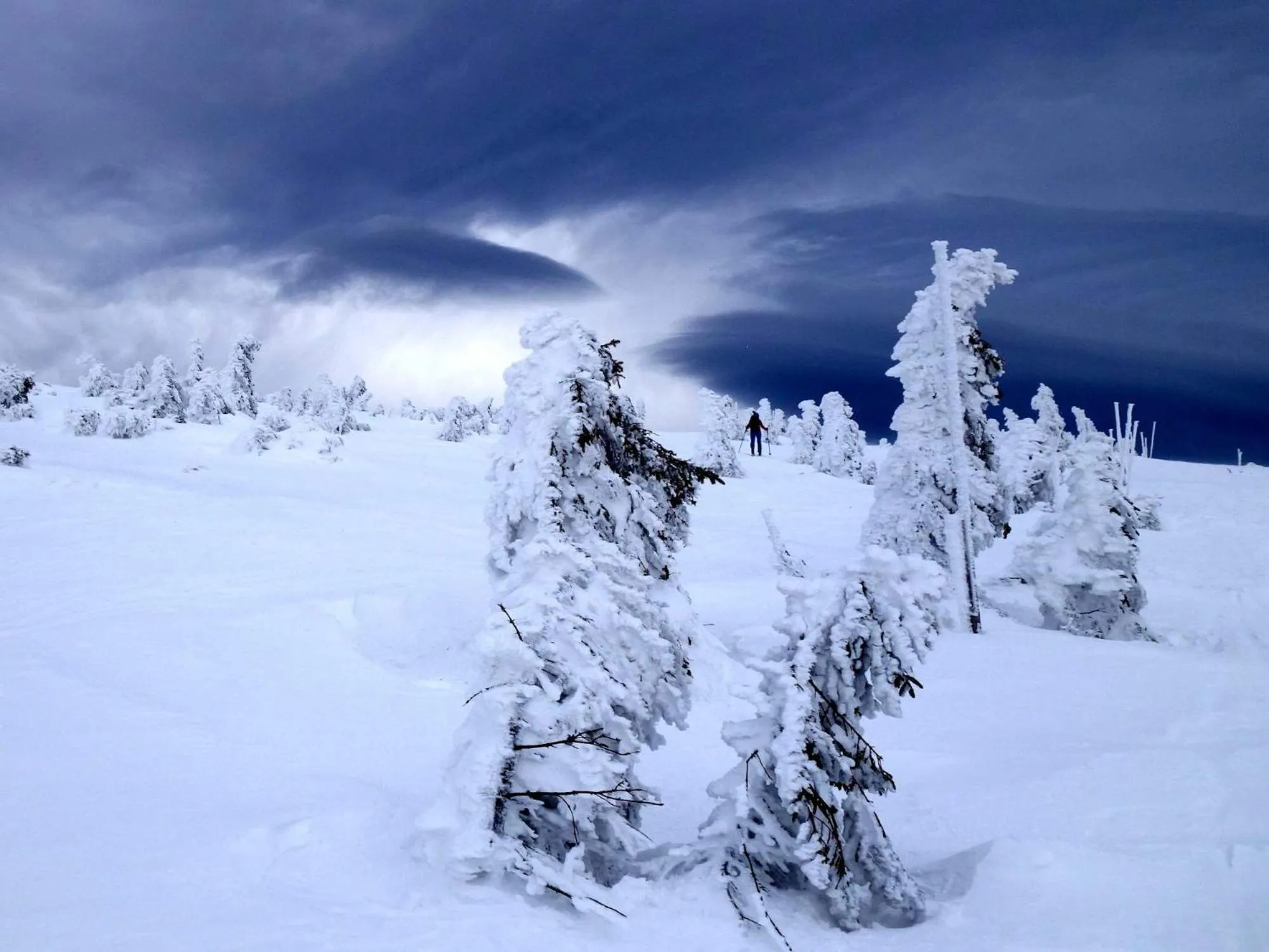 Natural landscape in Hotel Krokus