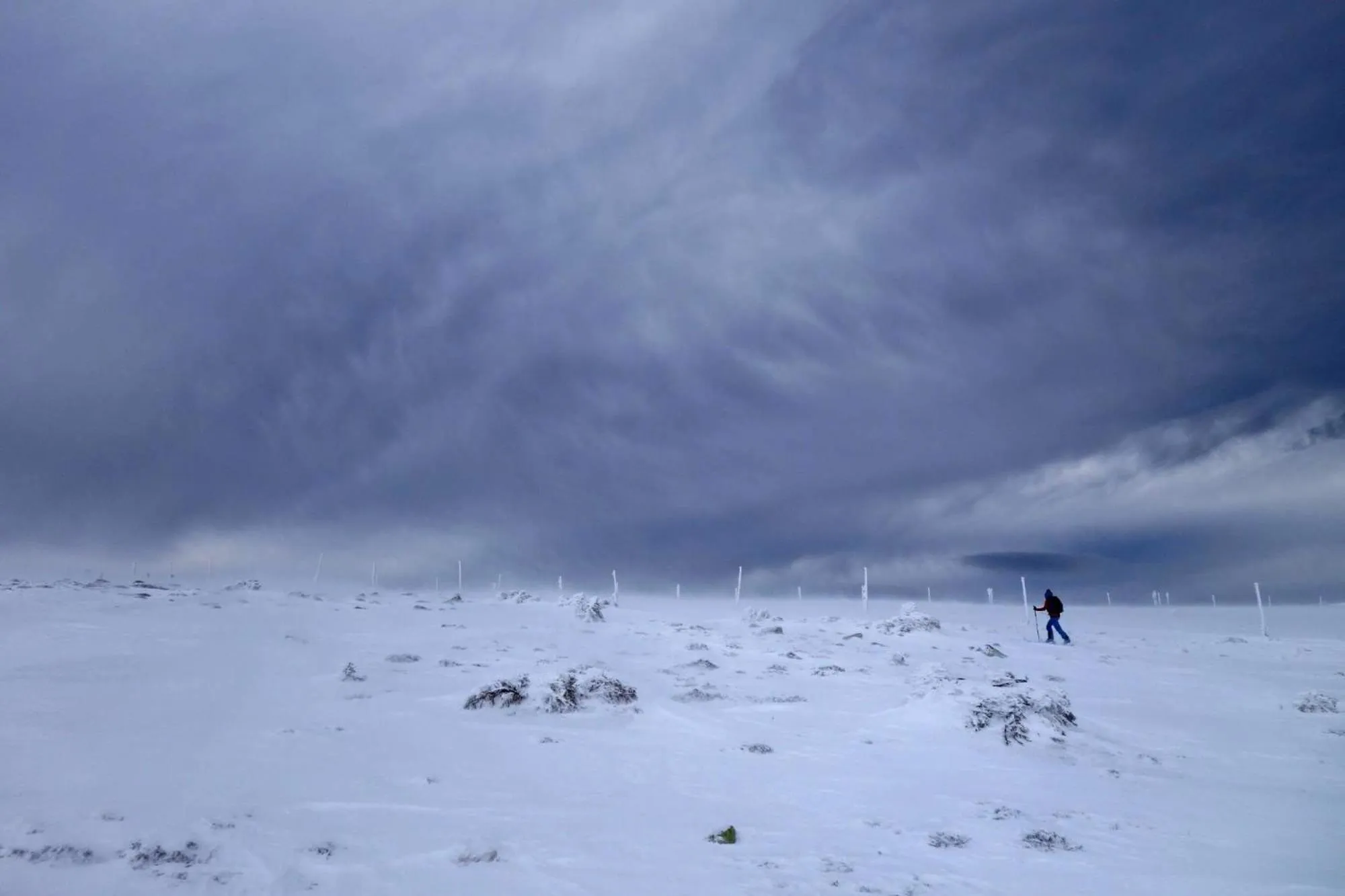 Natural landscape in Hotel Krokus
