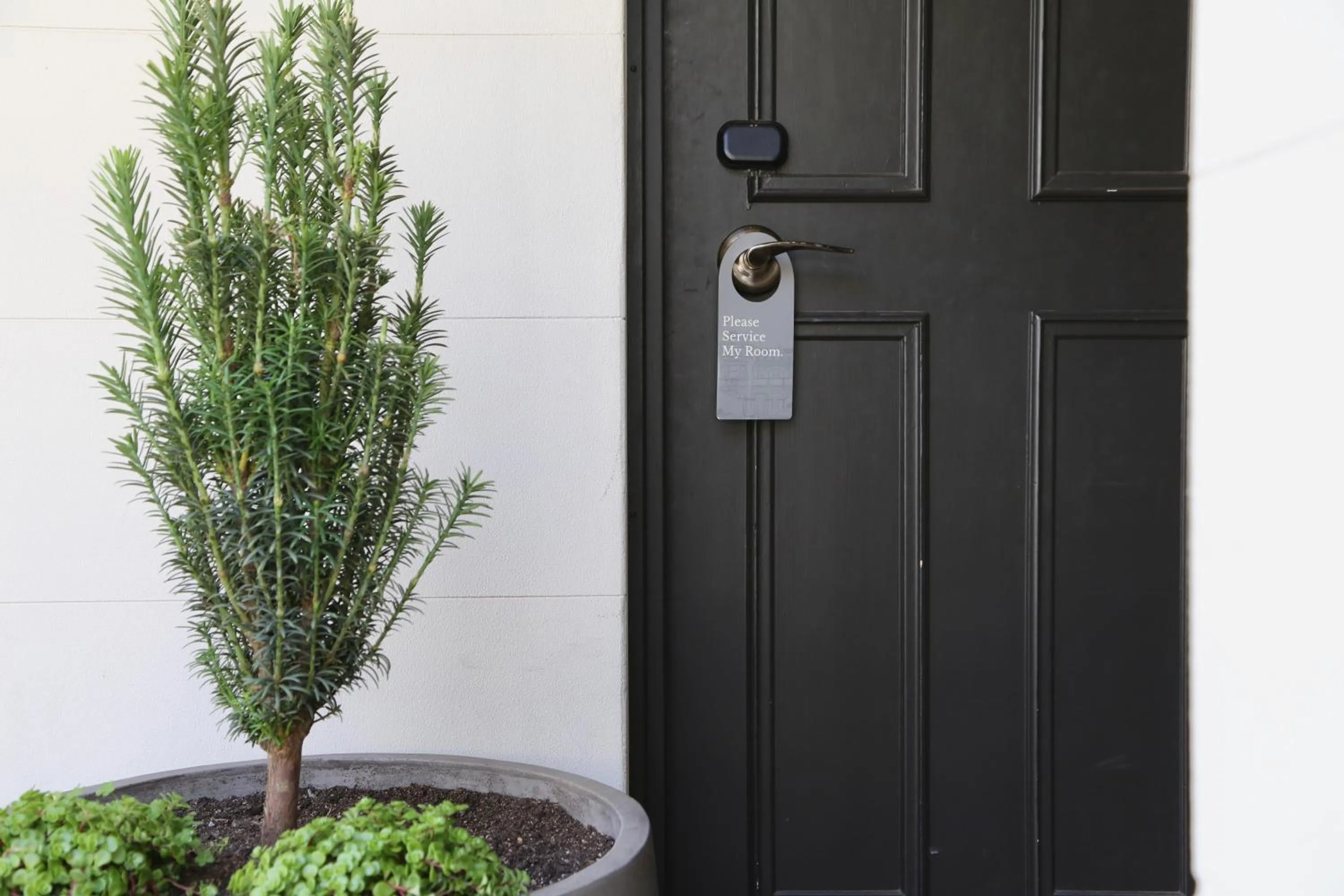 The Lurline Randwick