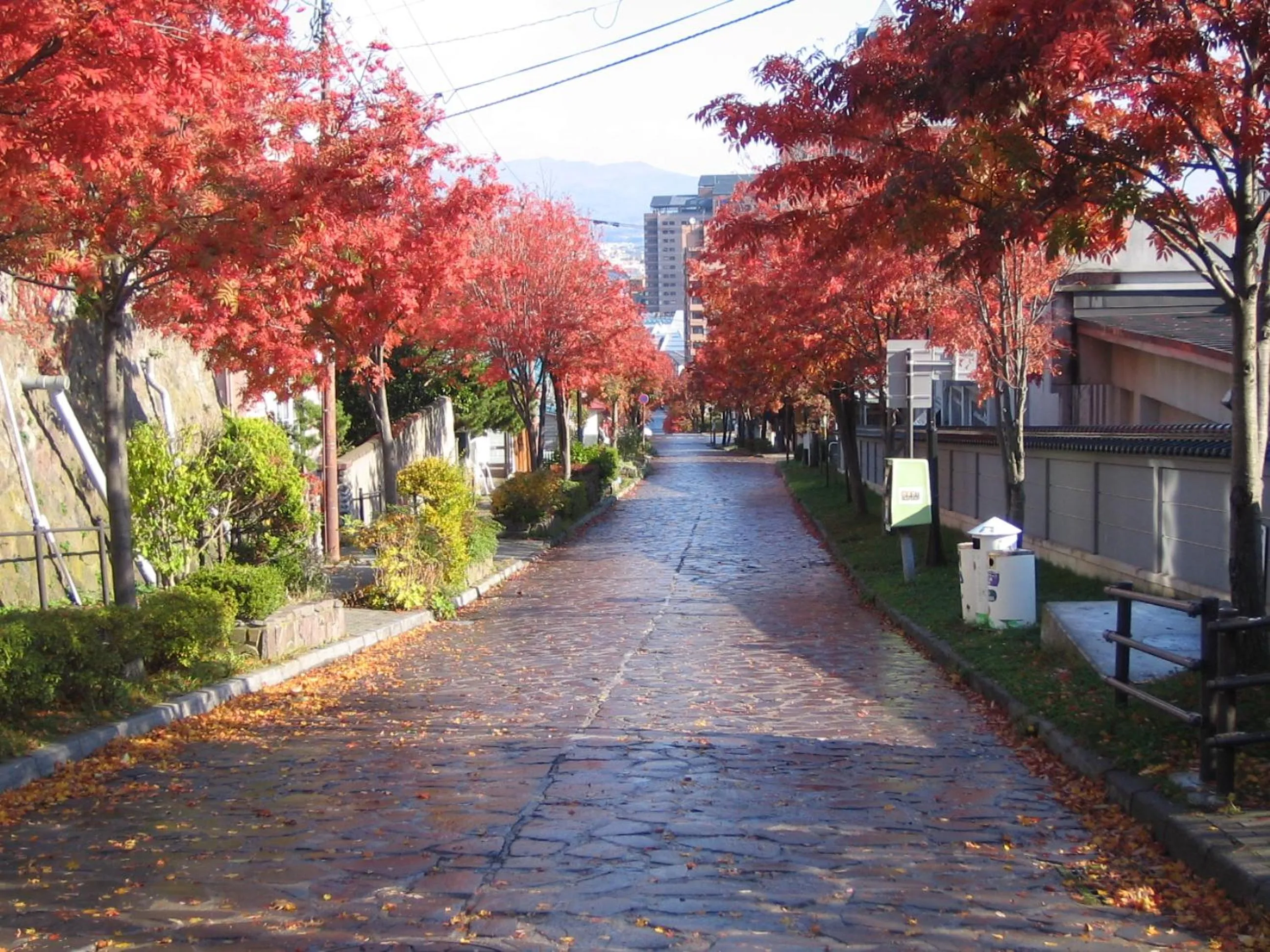 Hakodate Motomachi Hotel
