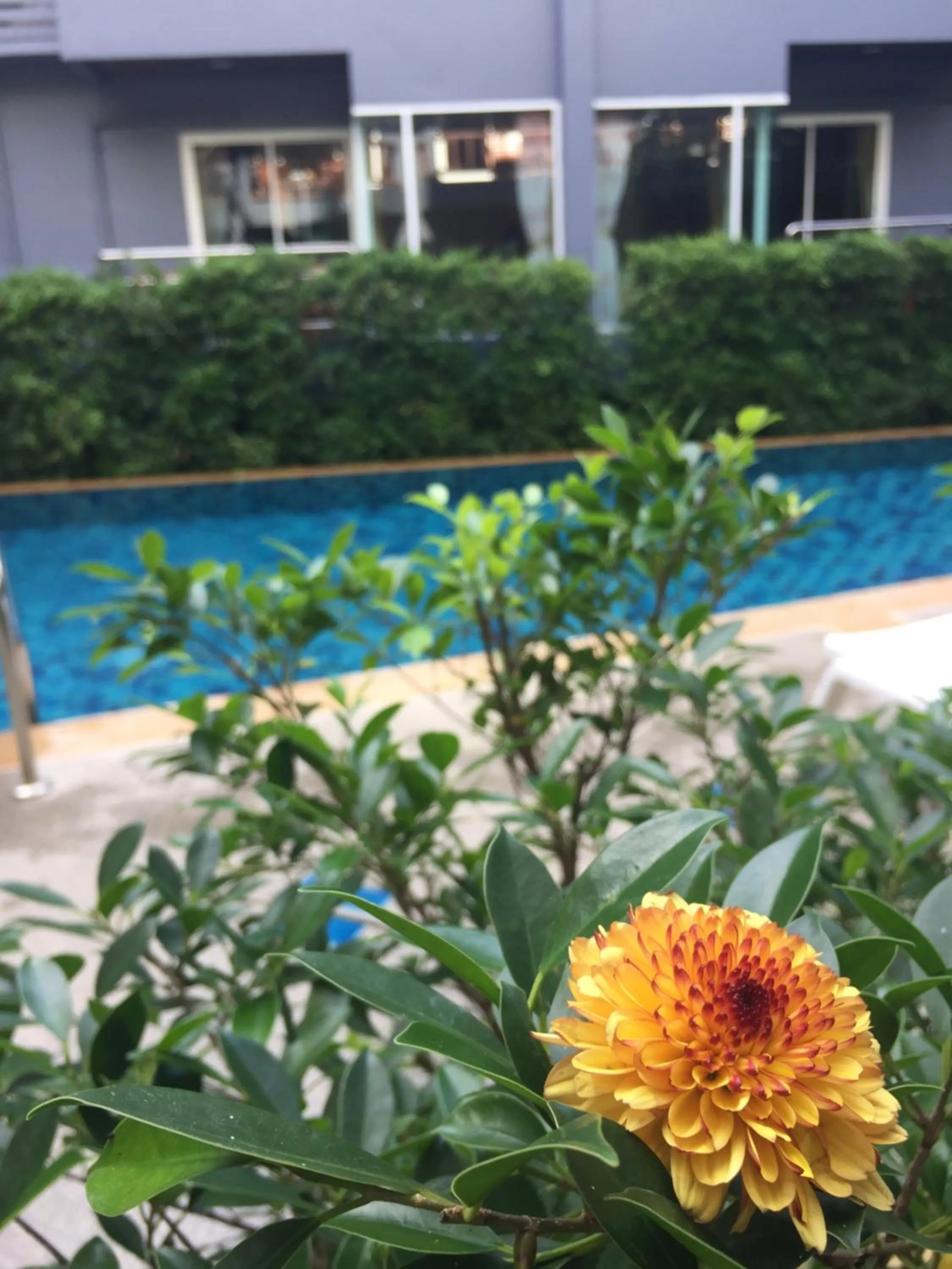 Aonang Village Resort