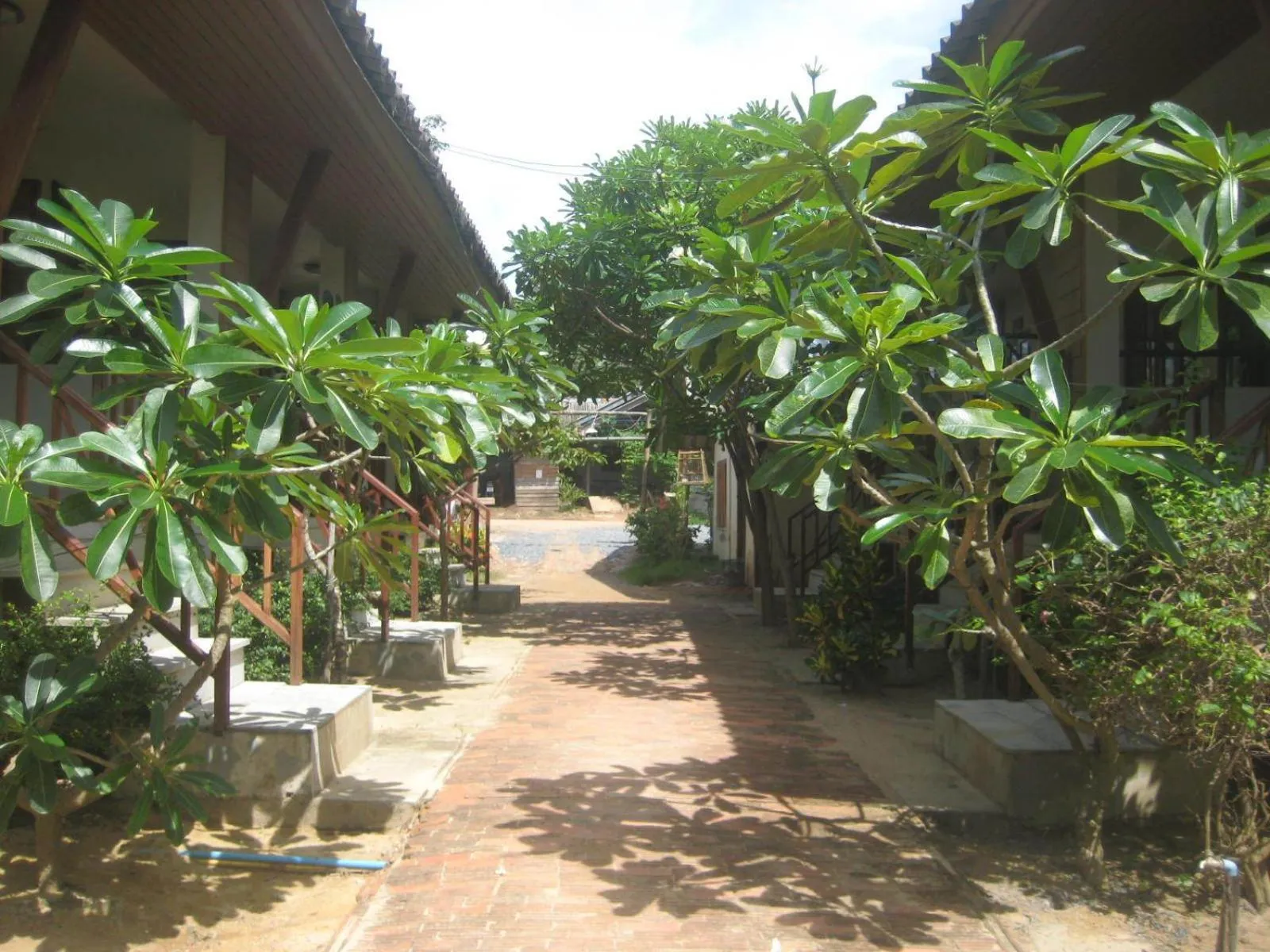 Day in Lanta Paragon