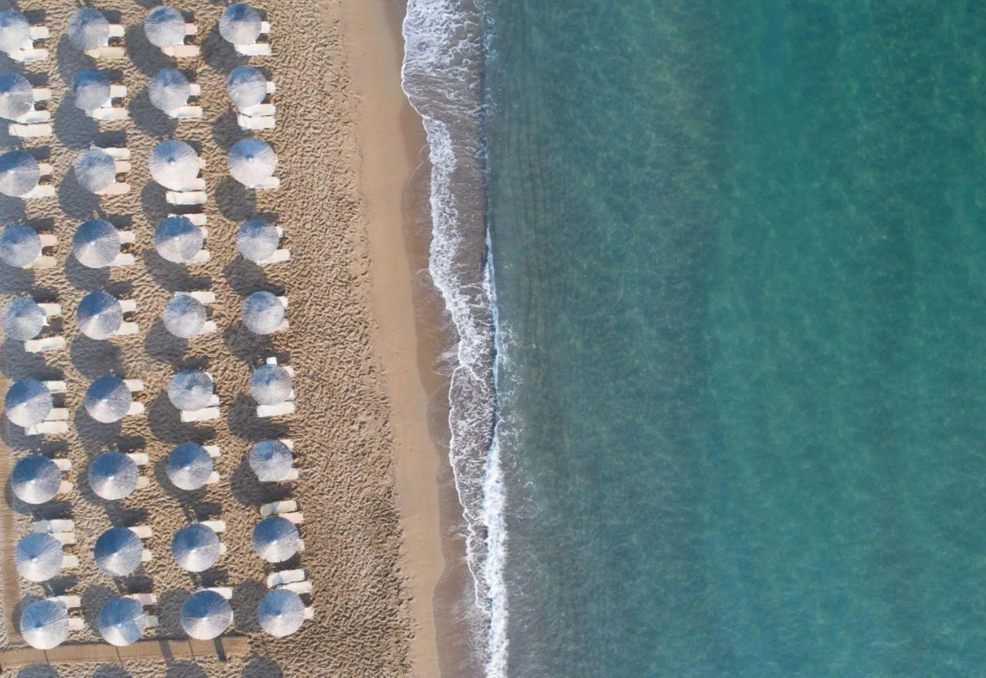 Beach in Zeus Hotels Neptuno Beach