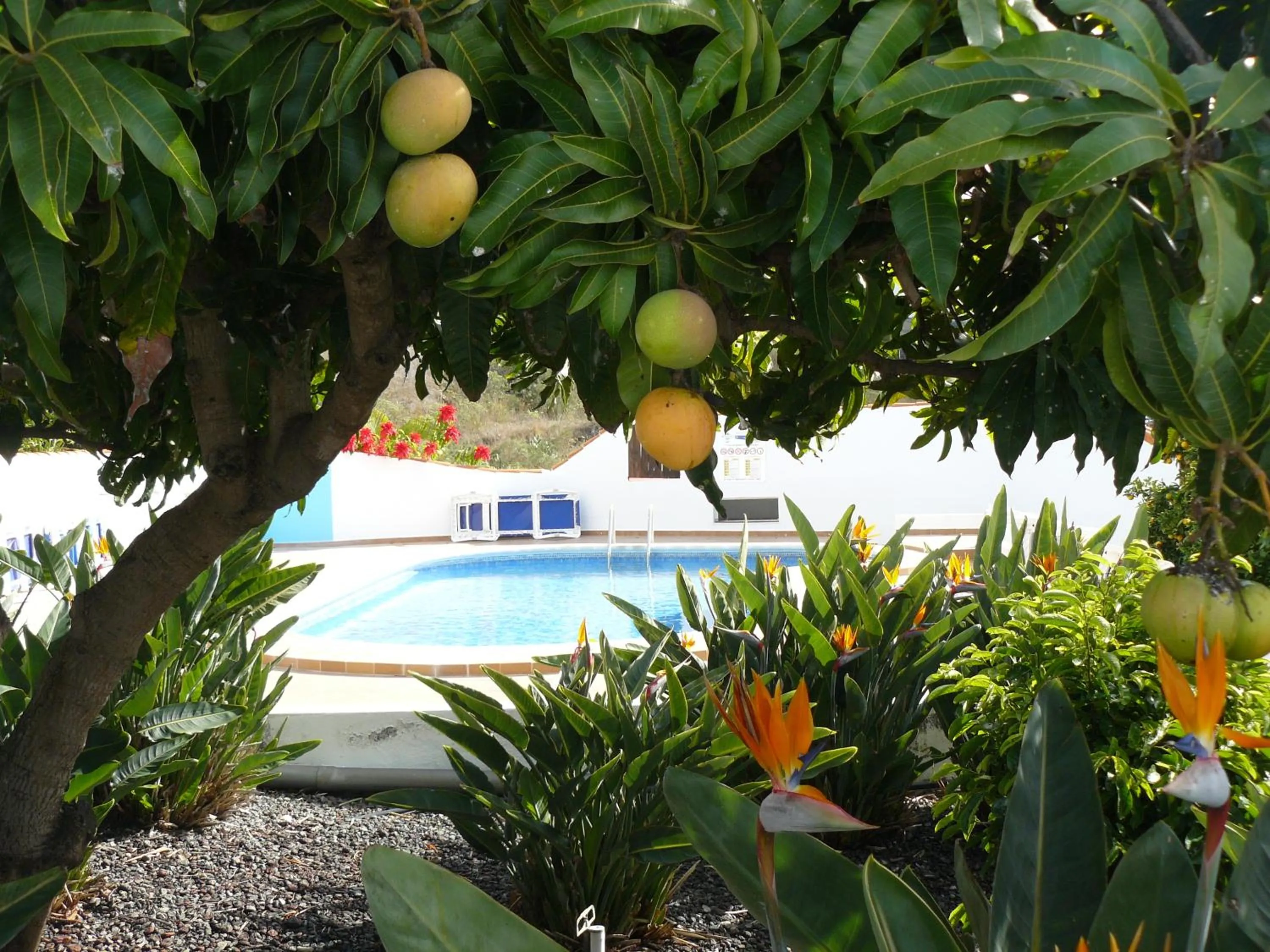 Garden in Casitas Rosheli