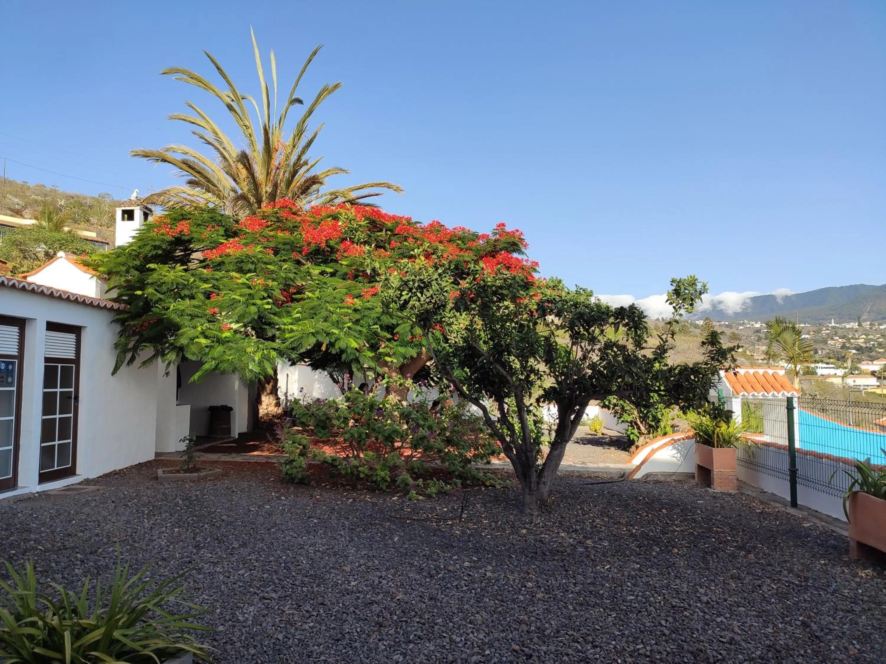 Garden in Casitas Rosheli