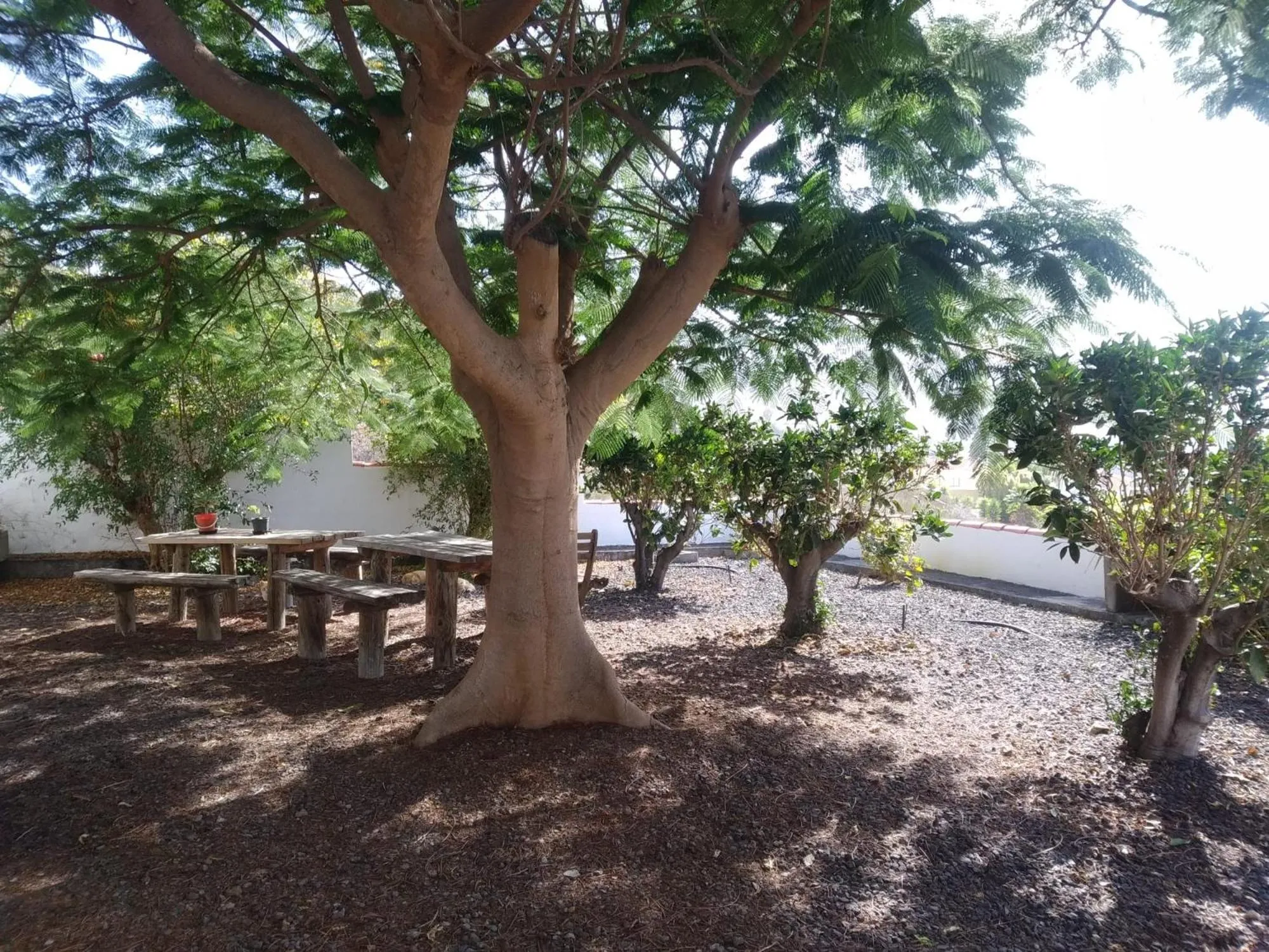 BBQ facilities in Casitas Rosheli