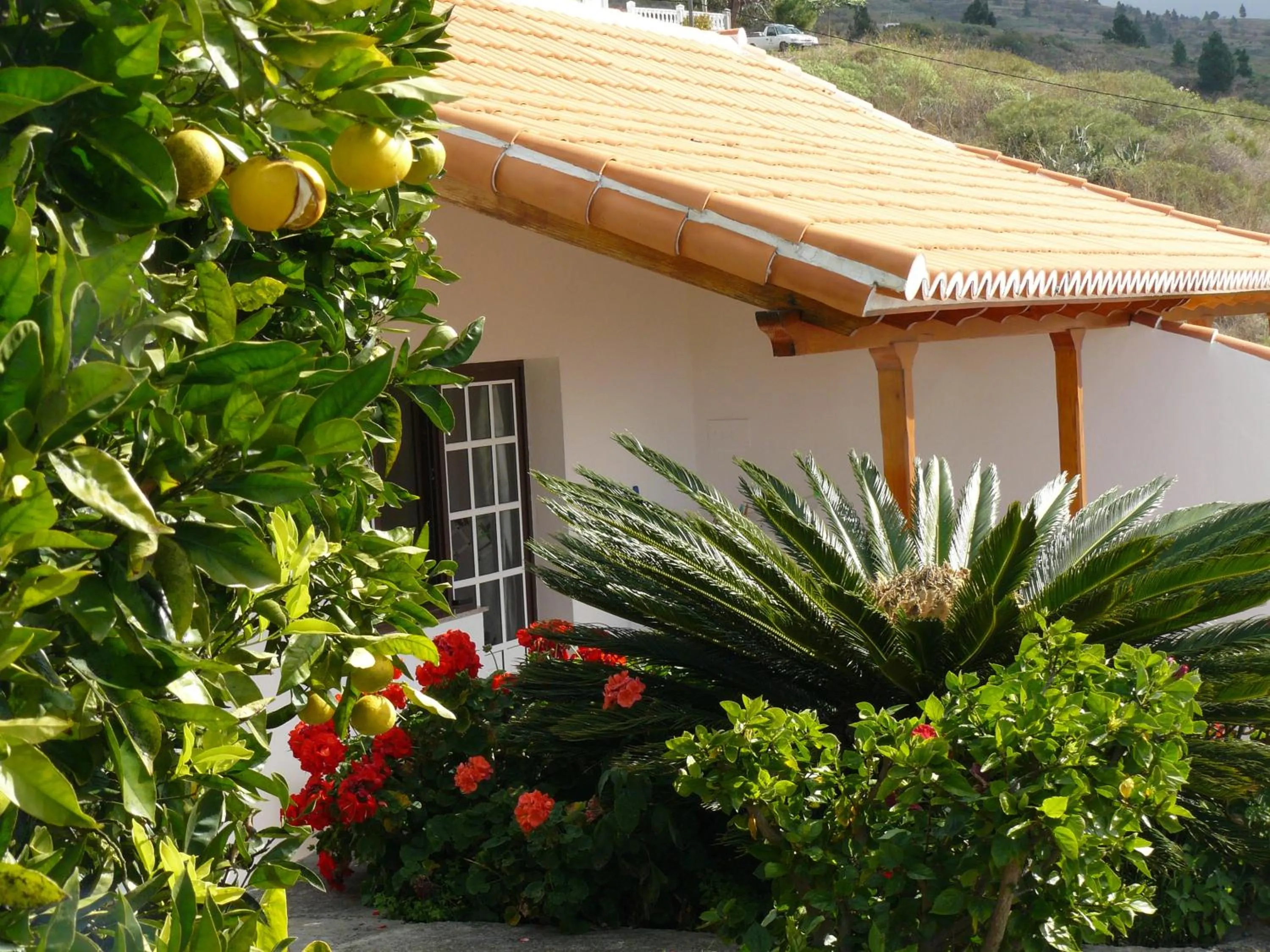 Garden in Casitas Rosheli