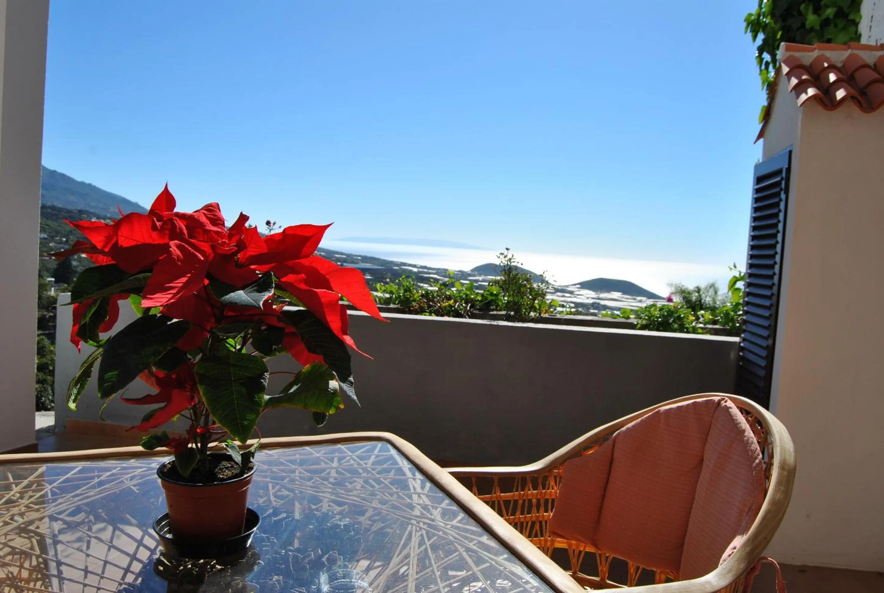 Balcony/Terrace in Casitas Rosheli