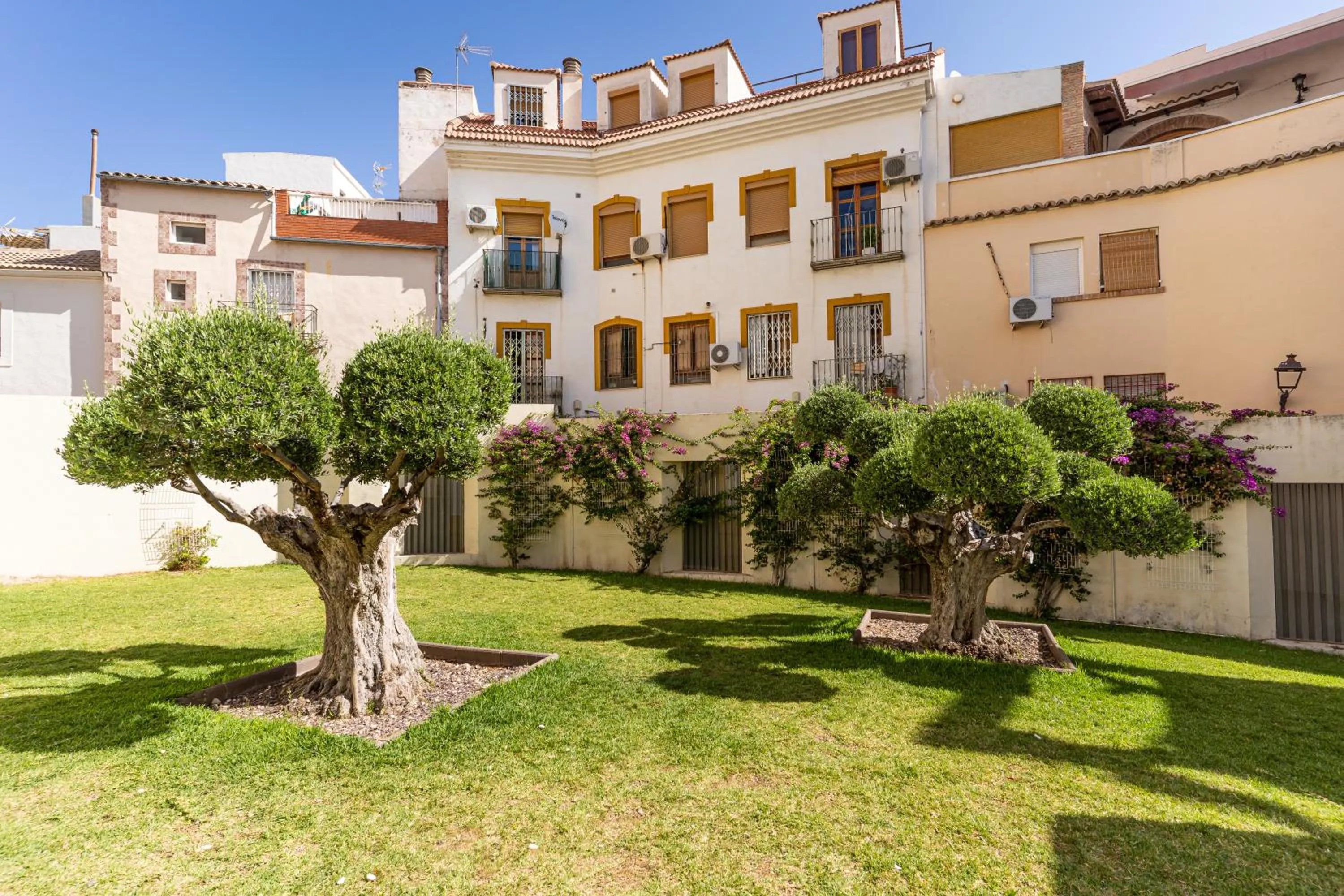 Patio in Albergue Inturjoven Jaen