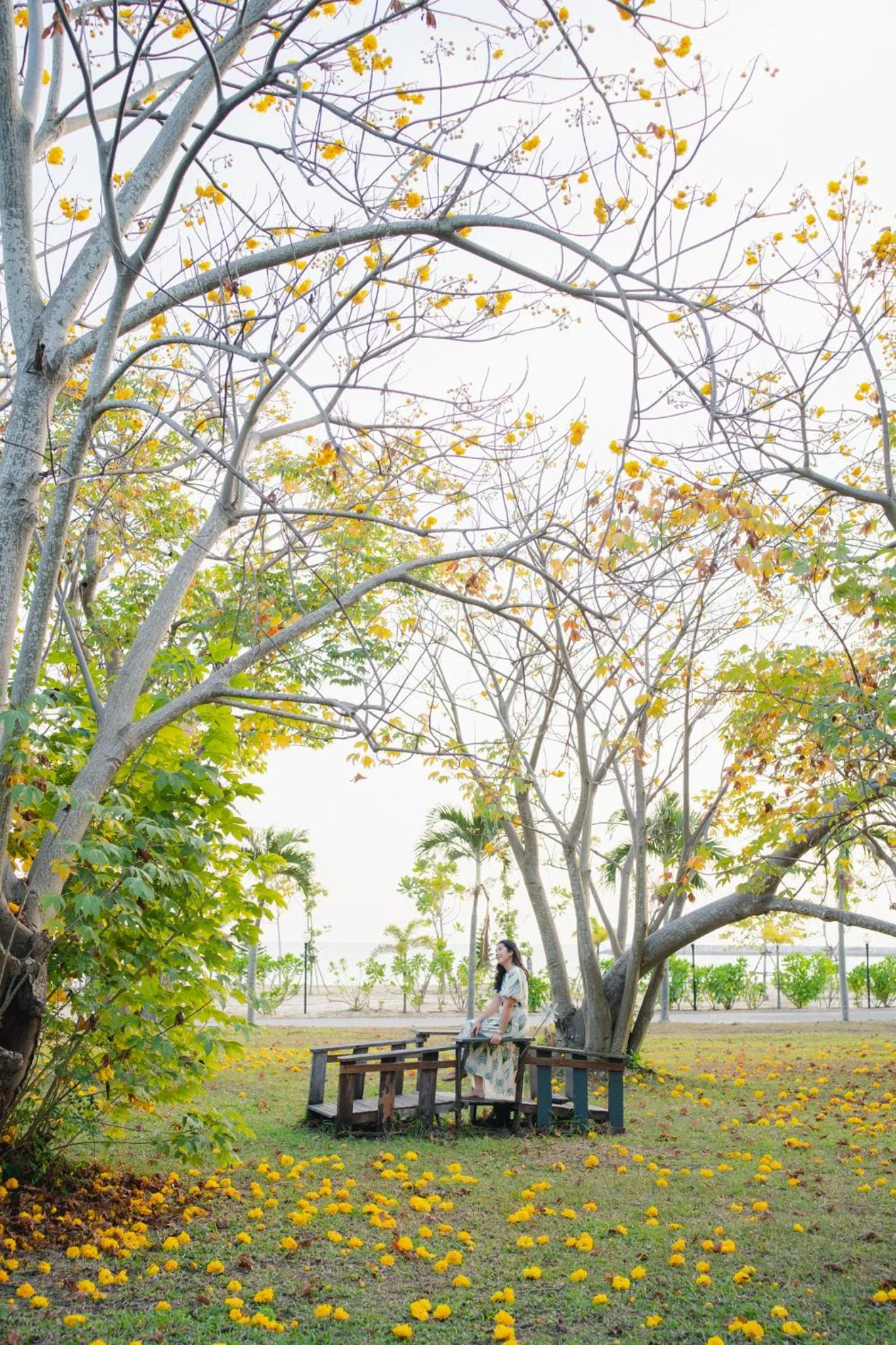 Natural landscape in Bann Pae Cabana Hotel And Resort