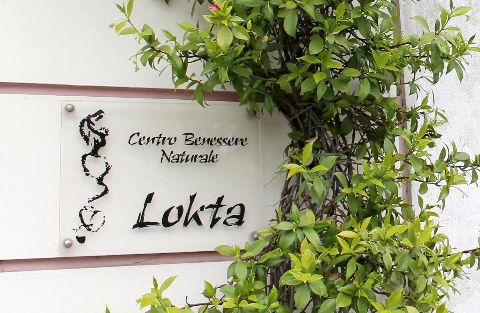 Spa and wellness centre/facilities in Hotel Liberty