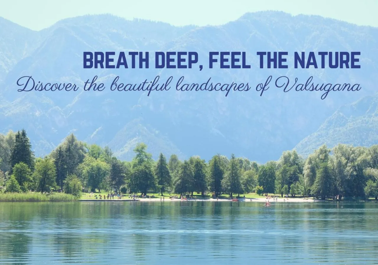 Natural landscape in Hotel Liberty