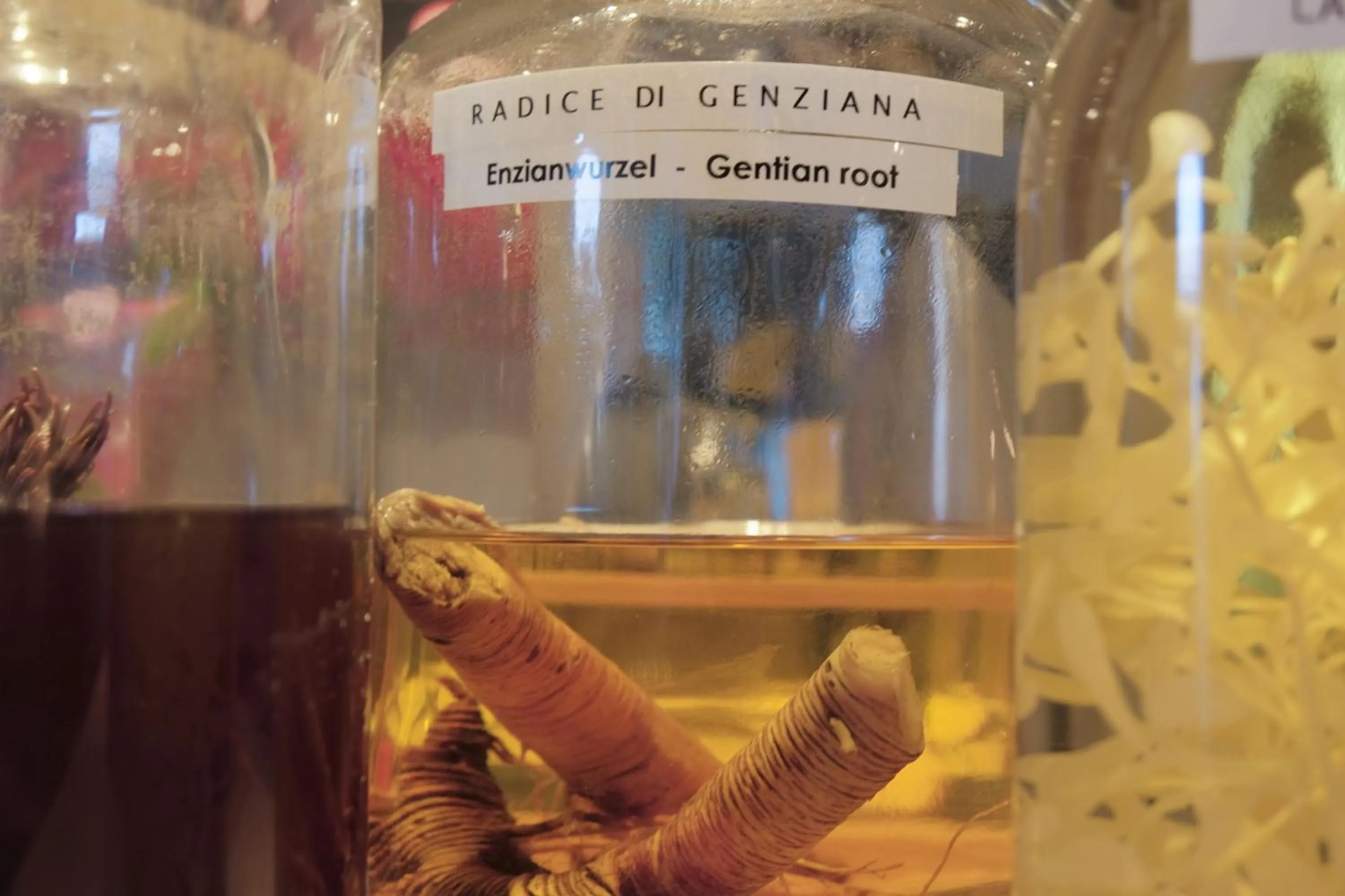 Lounge or bar in Hotel Liberty