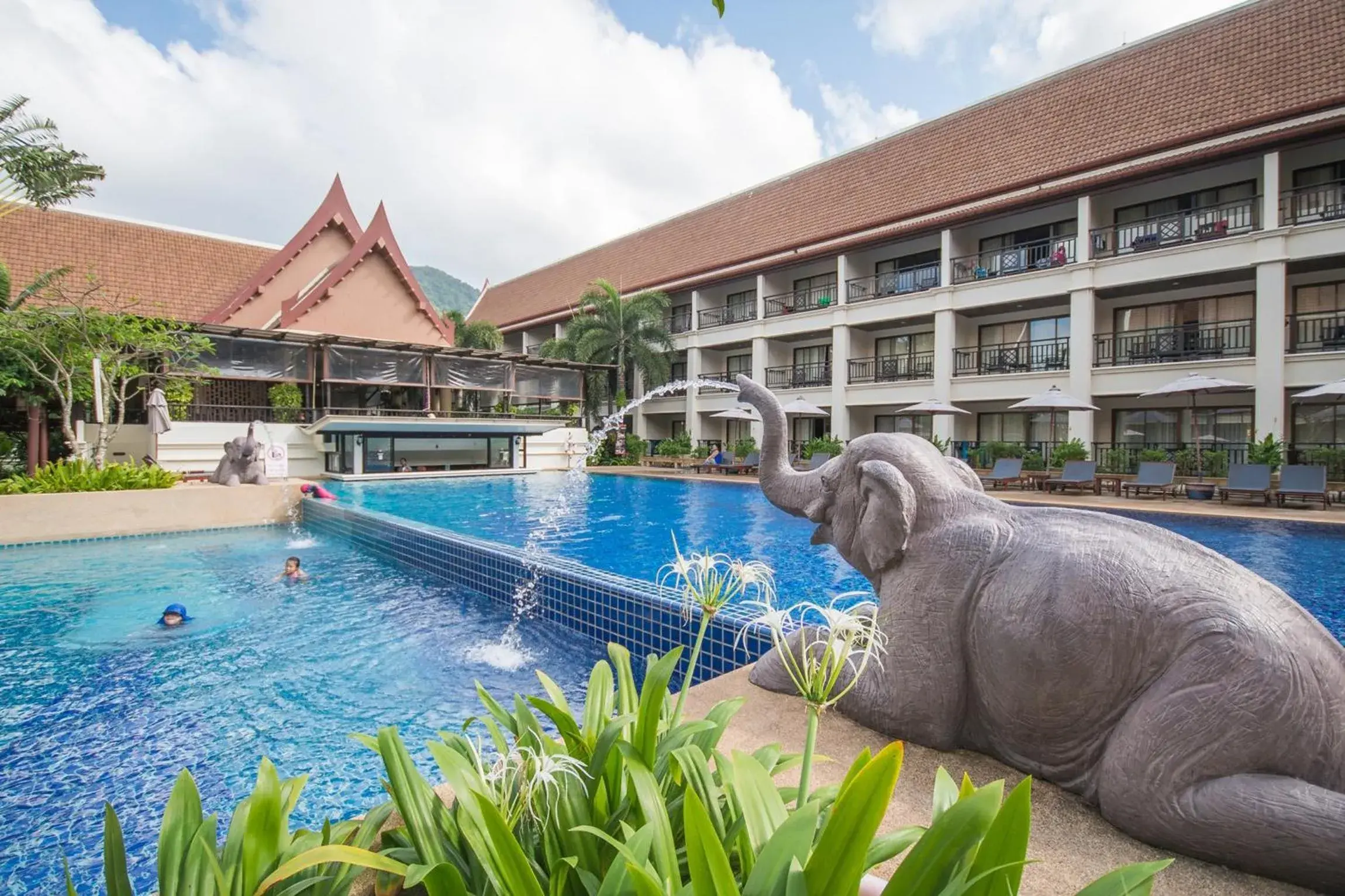 Pool view in Deevana Patong Resort & Spa Pool view in Deevana Patong Resort & Spa