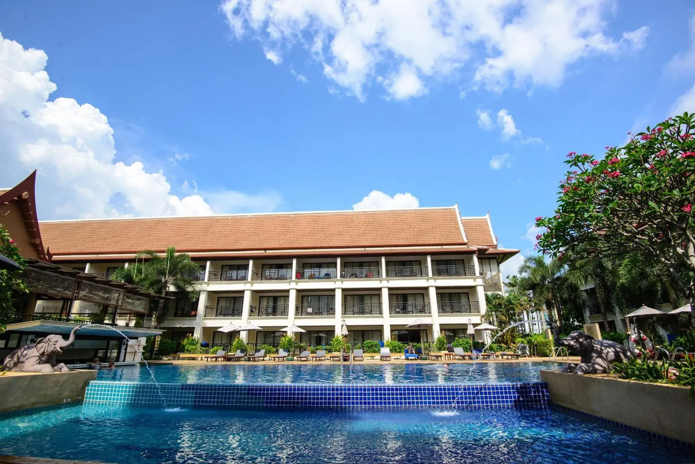Pool view in Deevana Patong Resort & Spa Pool view in Deevana Patong Resort & Spa