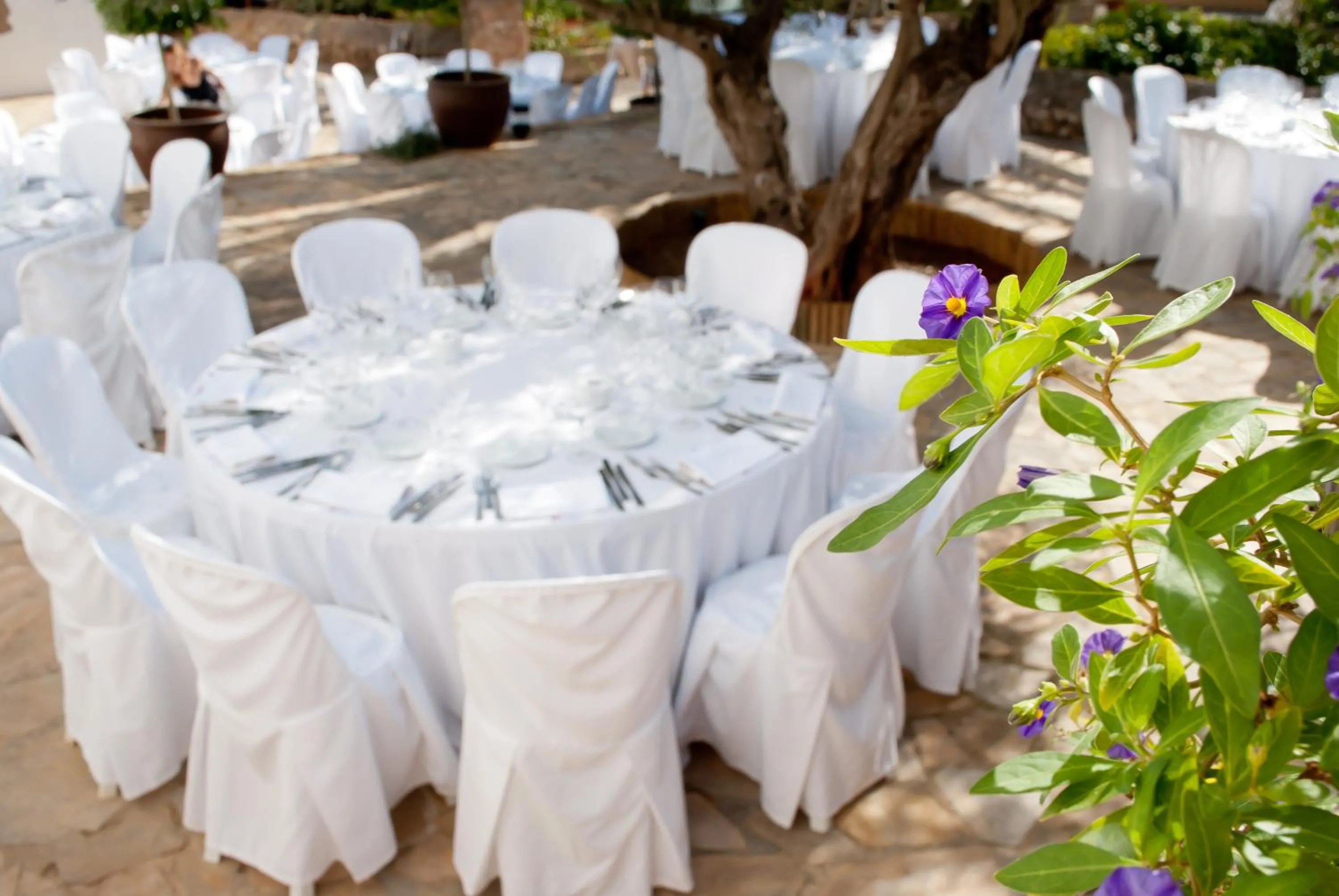 Area and facilities in Agroturismo Can Guillem