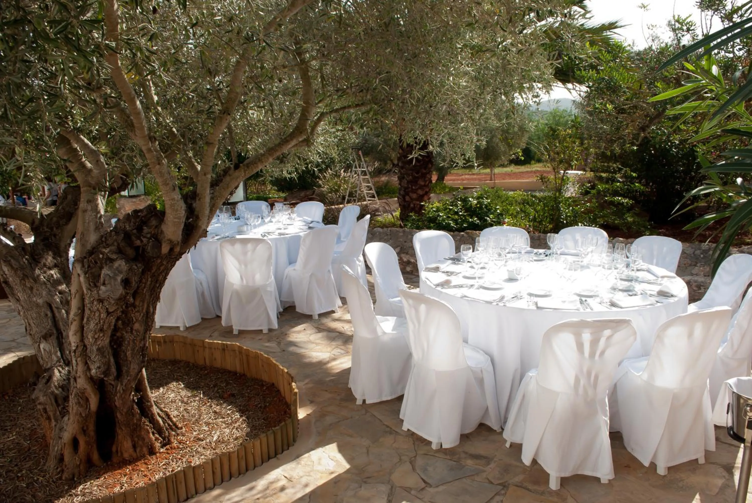 Area and facilities in Agroturismo Can Guillem