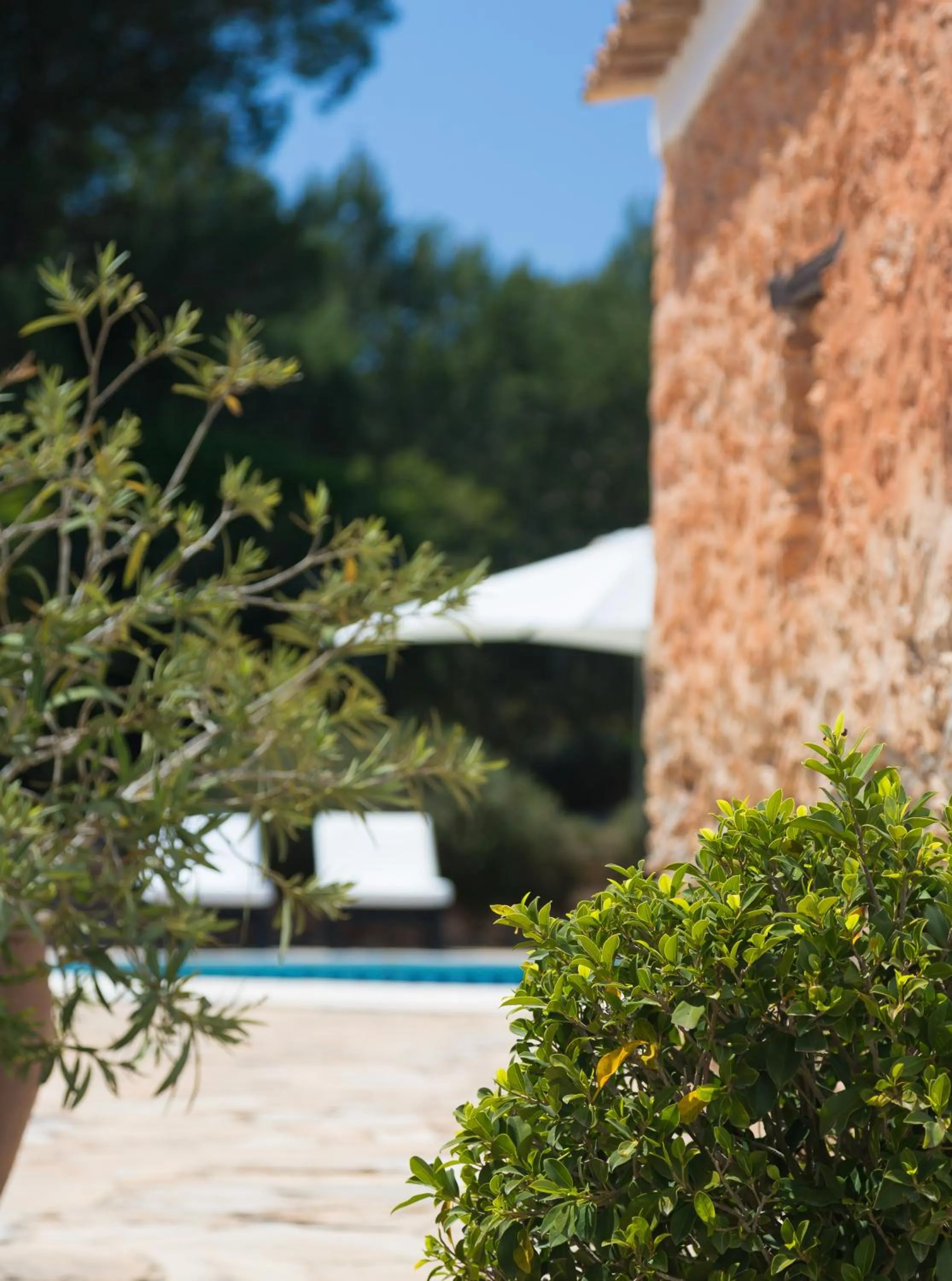 Facade/entrance in Agroturismo Can Guillem