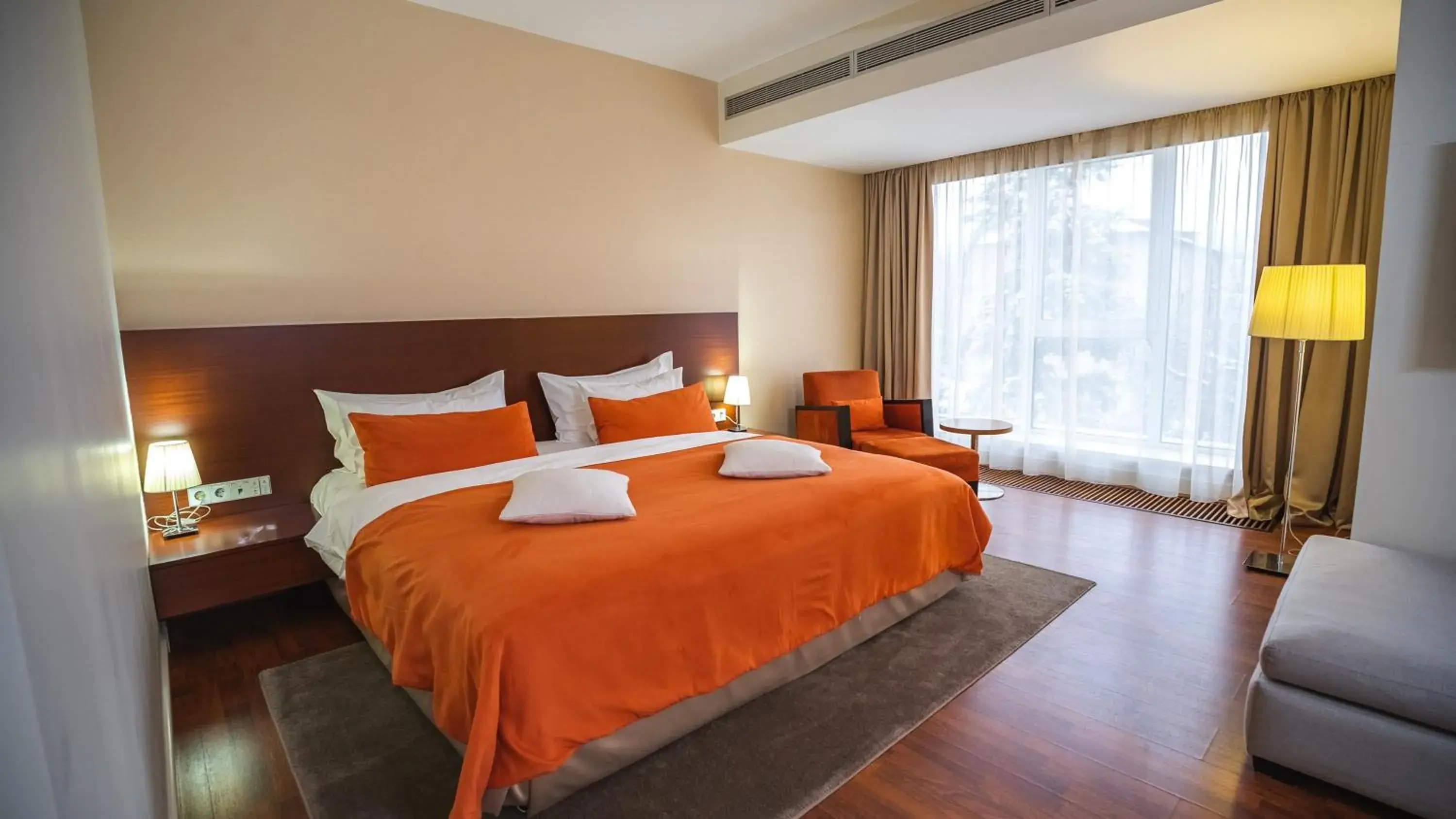 Deluxe Double Room - single occupancy in Park Hotel Almaty Deluxe Double Room - single occupancy in Park Hotel Almaty