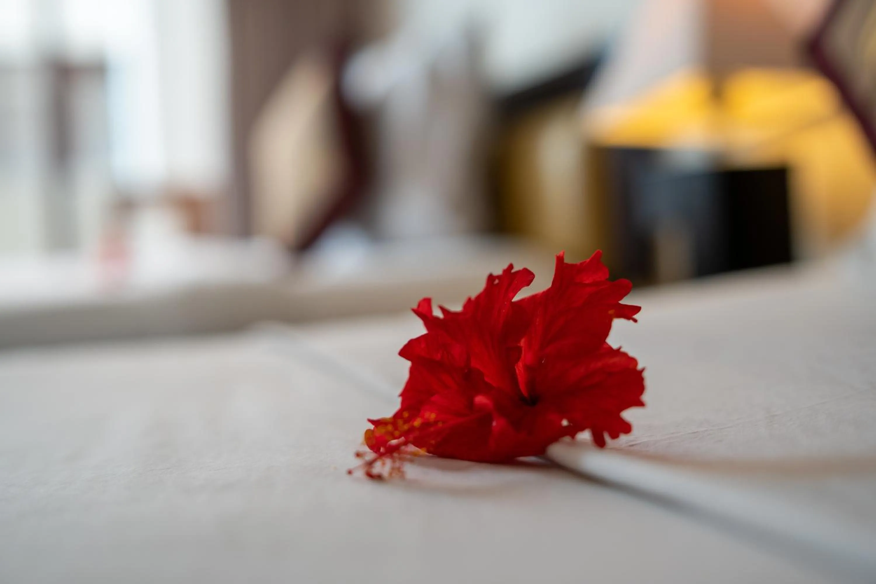 Bed in Baleka Resort & Spa