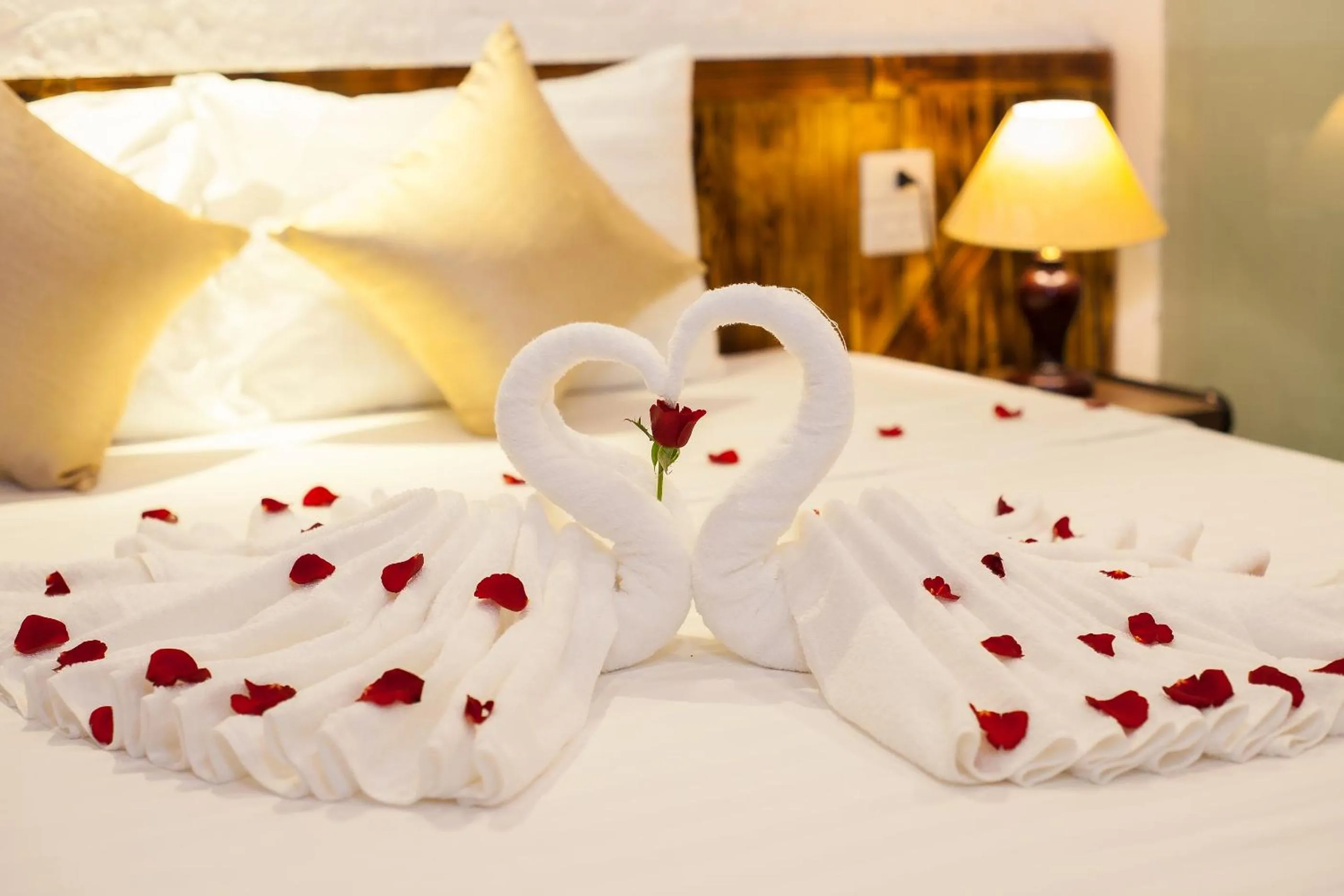 Bed in Luxury Backpakers Hotel