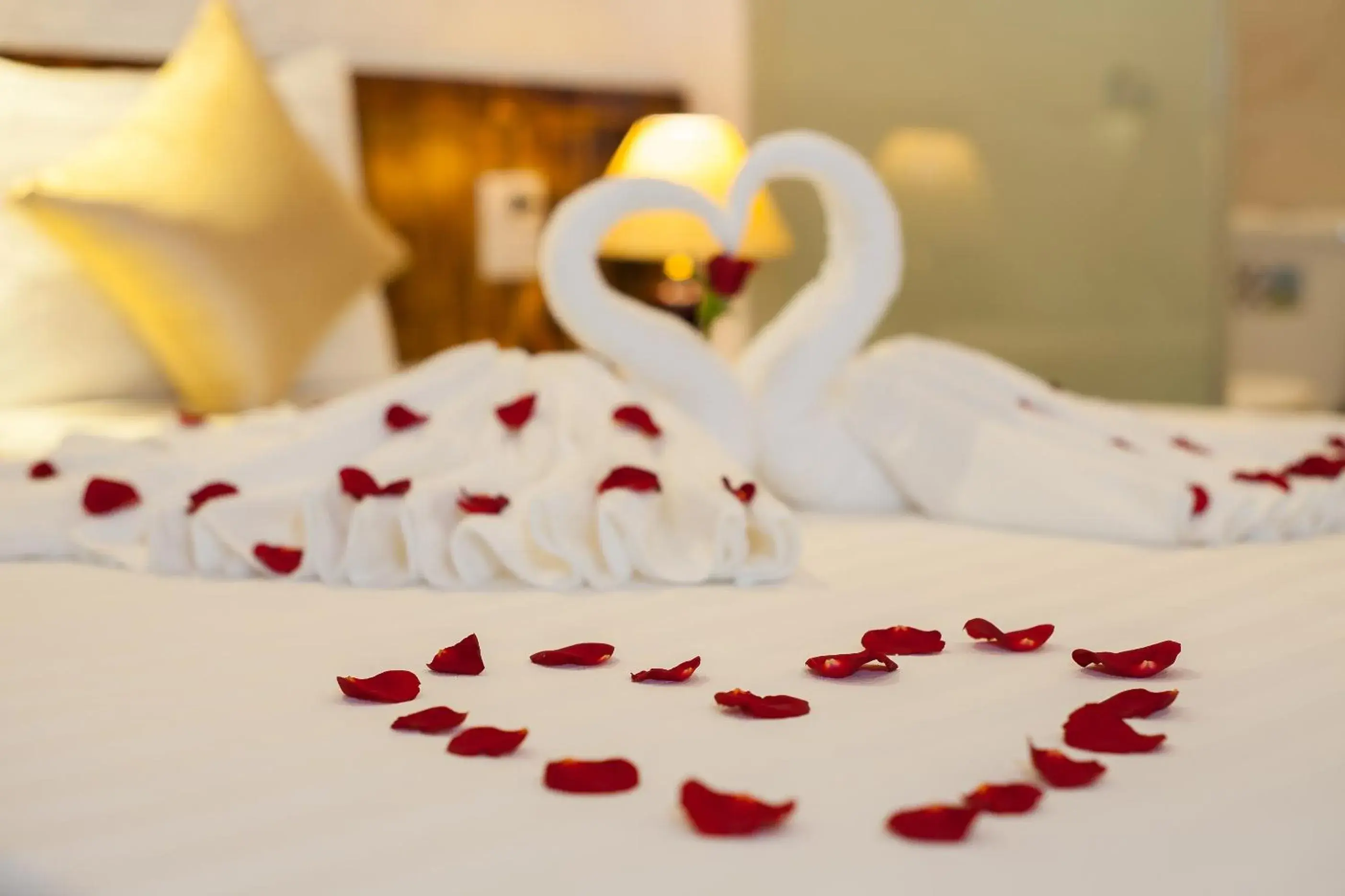 Bed in Luxury Backpakers Hotel Bed in Luxury Backpakers Hotel