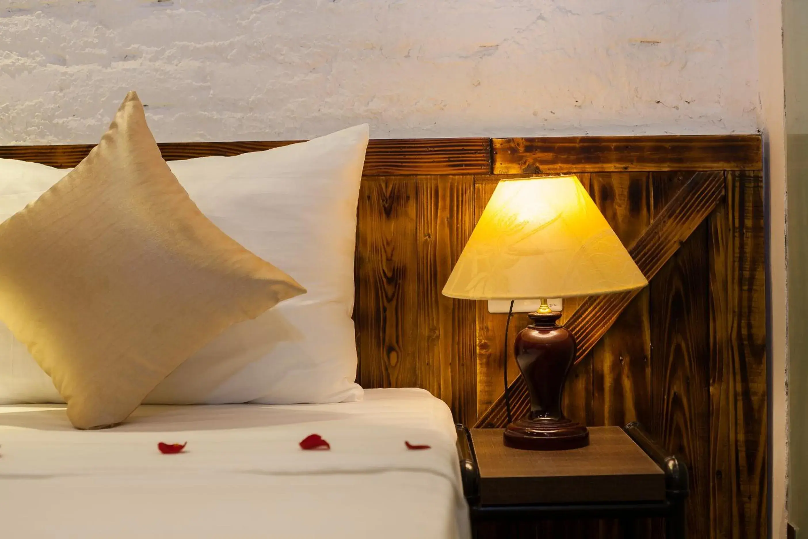 Bed in Luxury Backpakers Hotel Bed in Luxury Backpakers Hotel