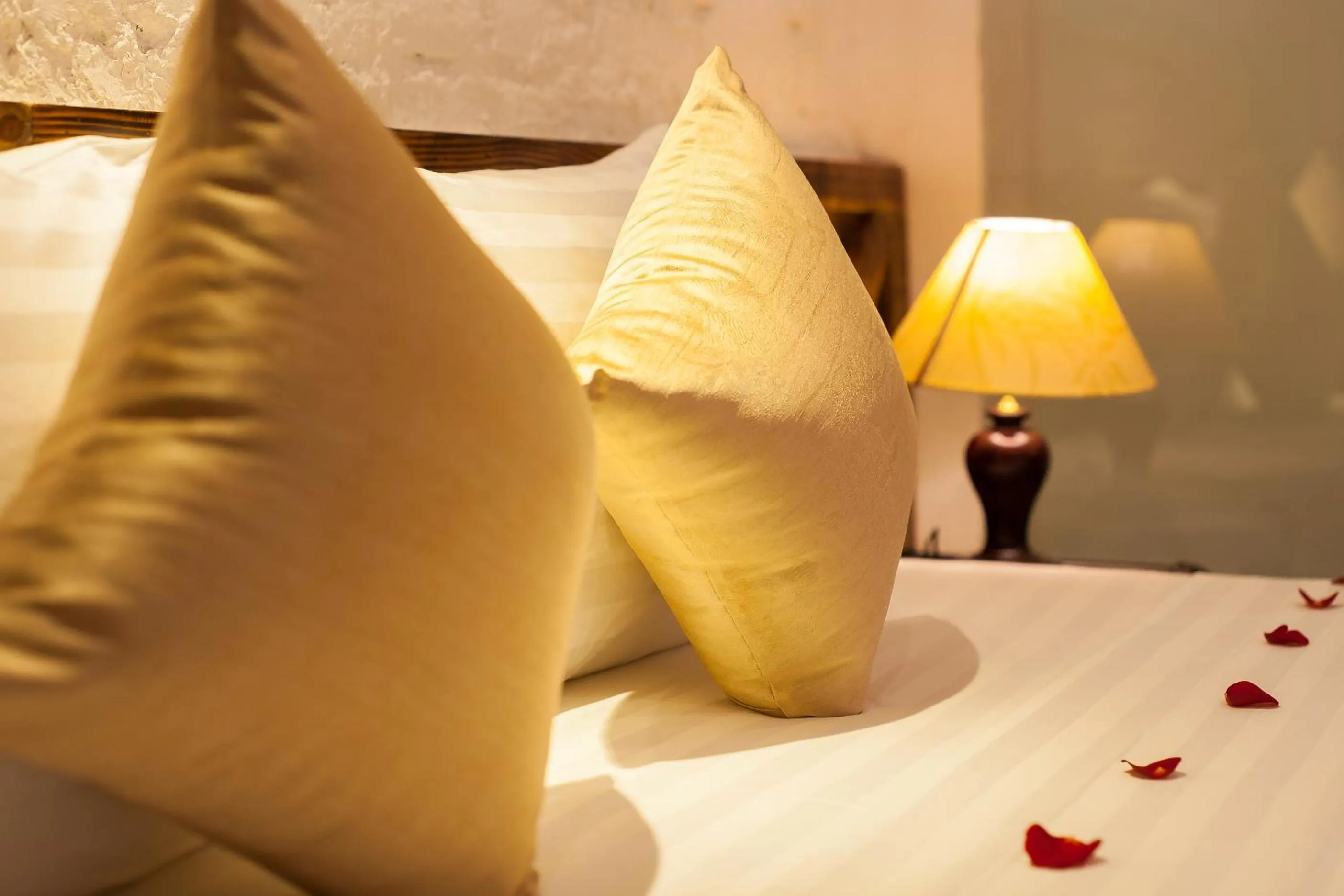 Bed in Luxury Backpakers Hotel