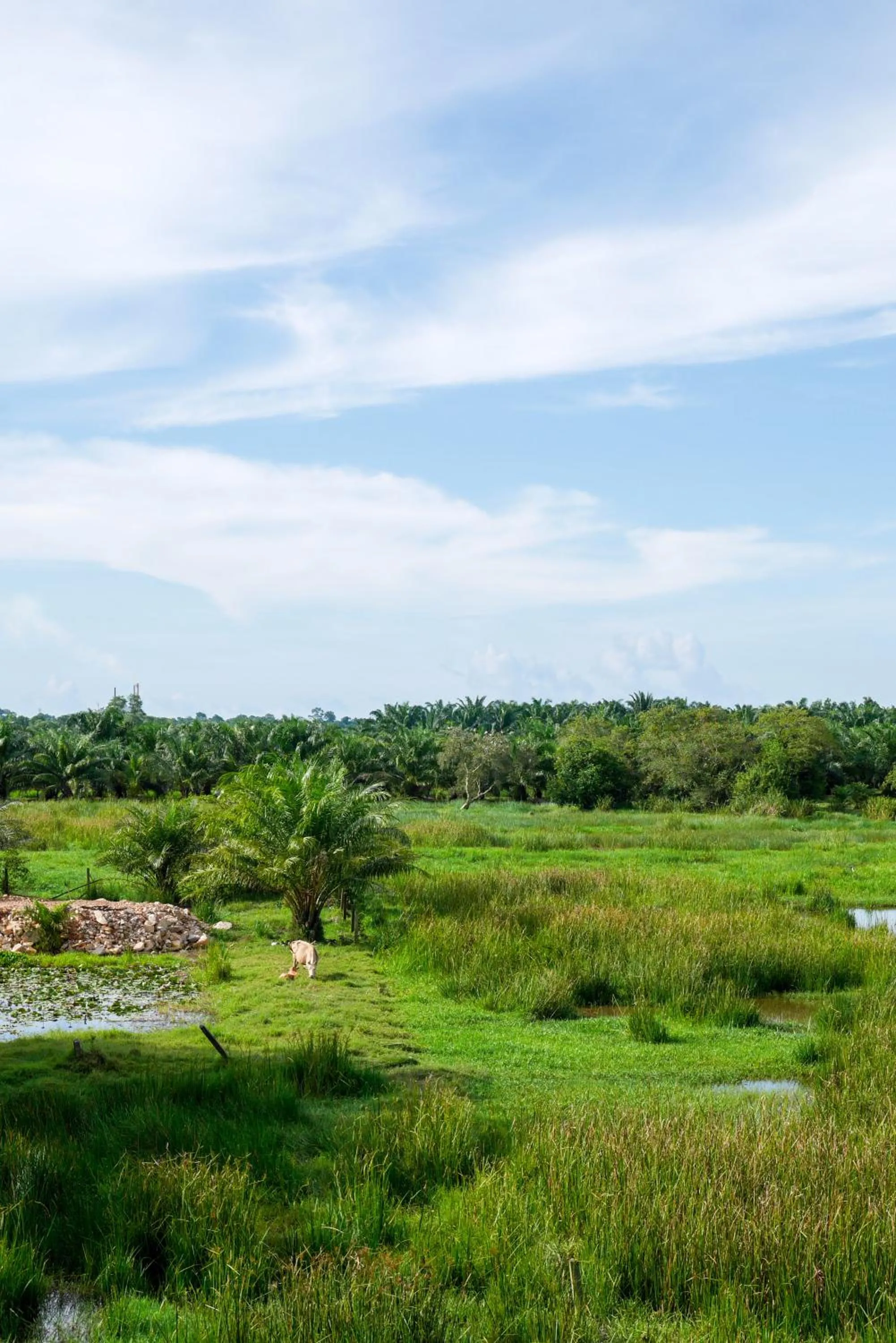 View (from property/room) in B3 Hotel