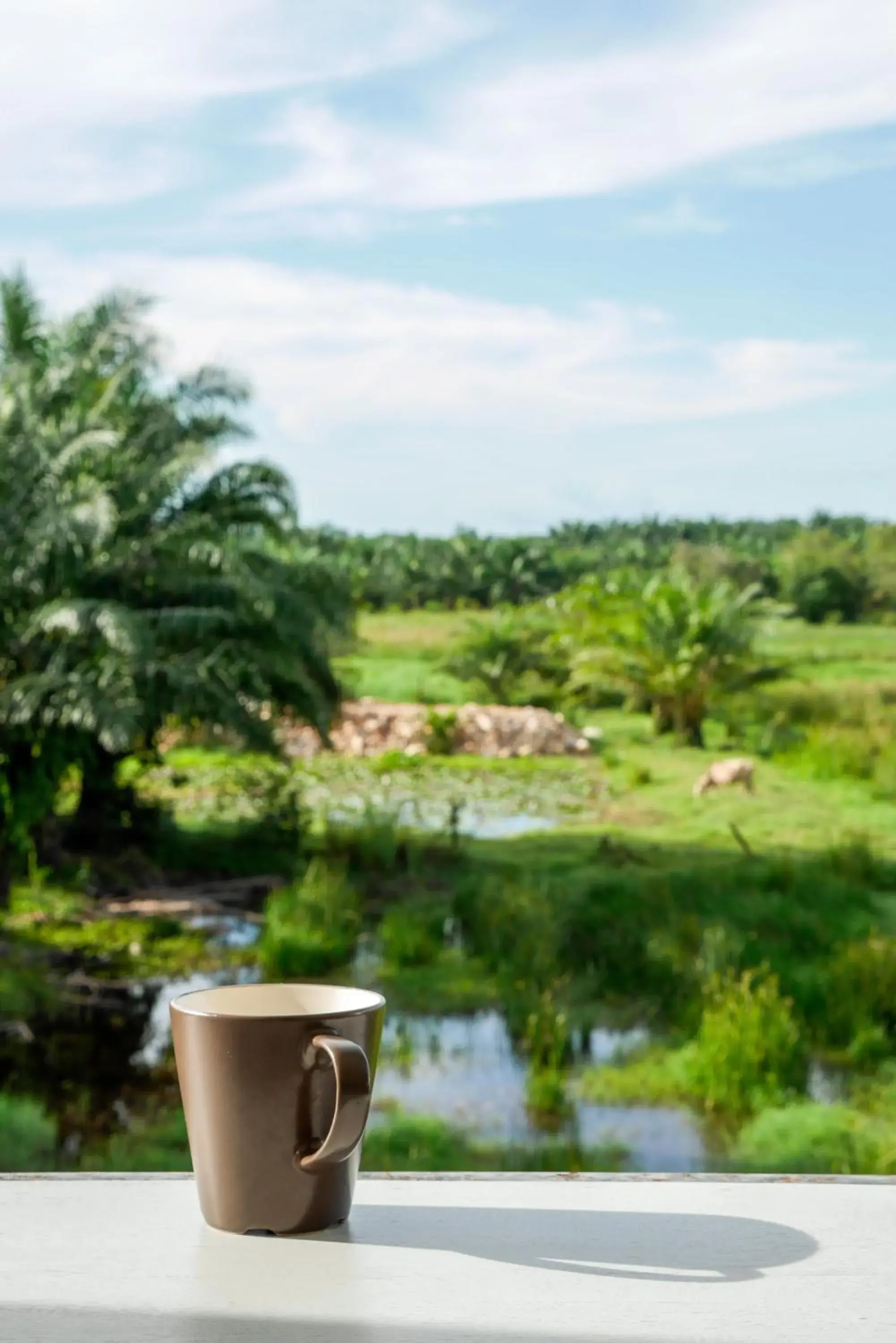 View (from property/room) in B3 Hotel View (from property/room) in B3 Hotel