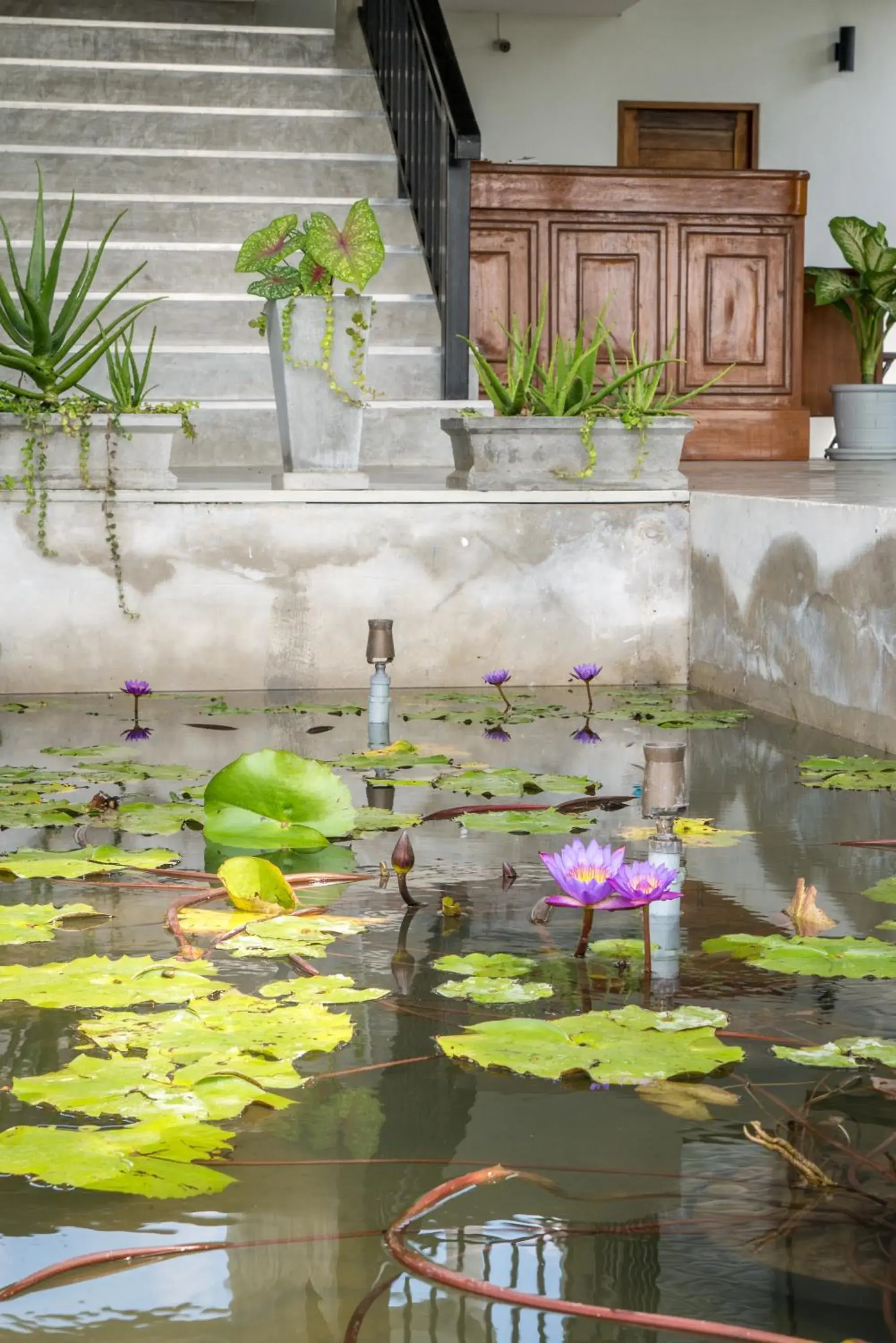 Lobby or reception in B3 Hotel Lobby or reception in B3 Hotel