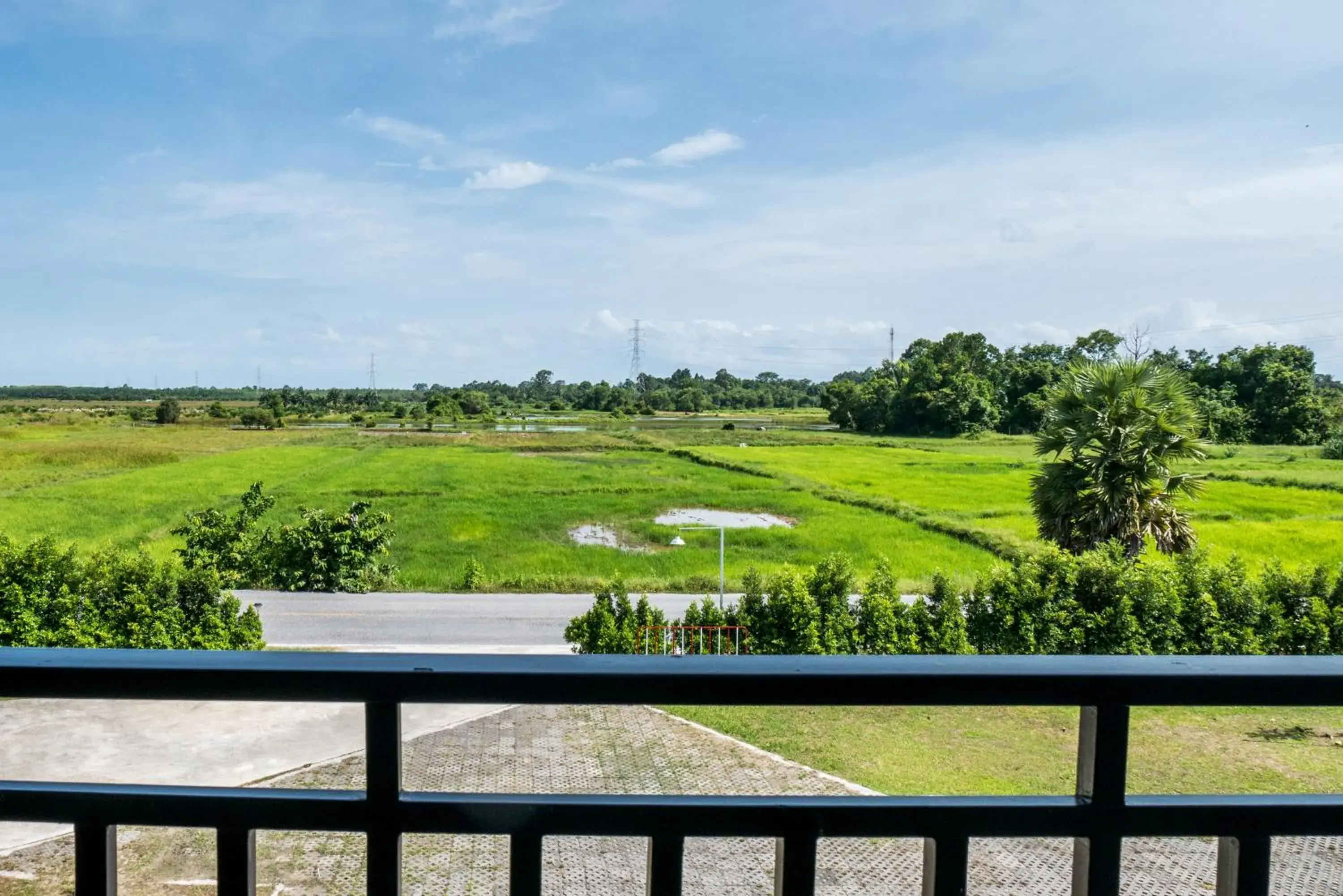 Garden view in B3 Hotel Garden view in B3 Hotel