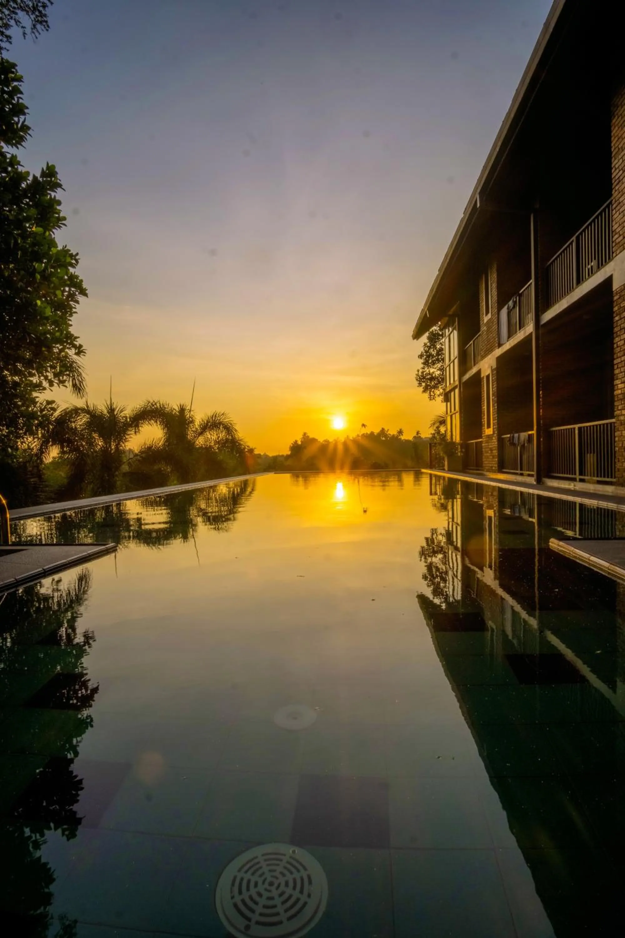Pool view in Somerset Mirissa Eco