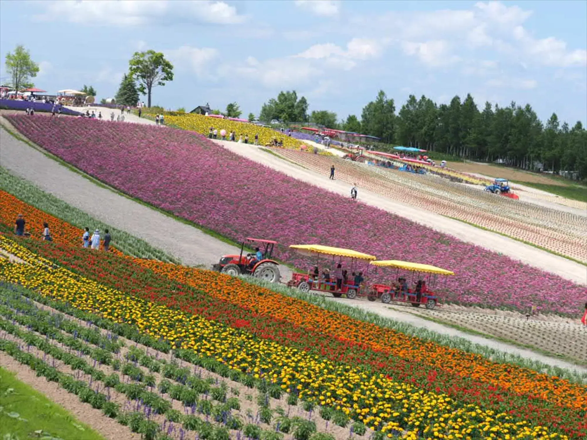 Natural landscape in Jadan House Natural landscape in Jadan House