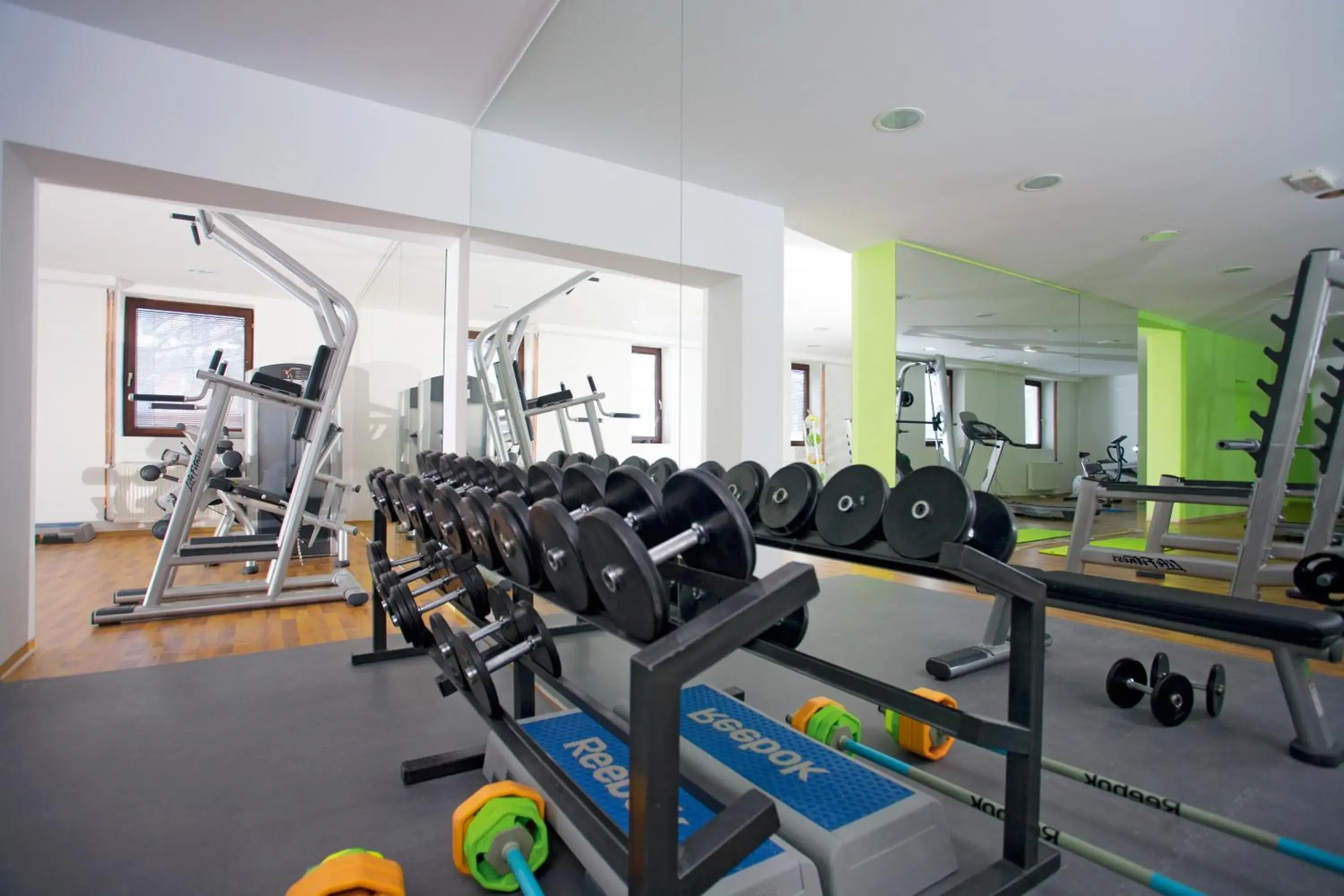 Fitness centre/facilities in Hotel Palisad Fitness centre/facilities in Hotel Palisad