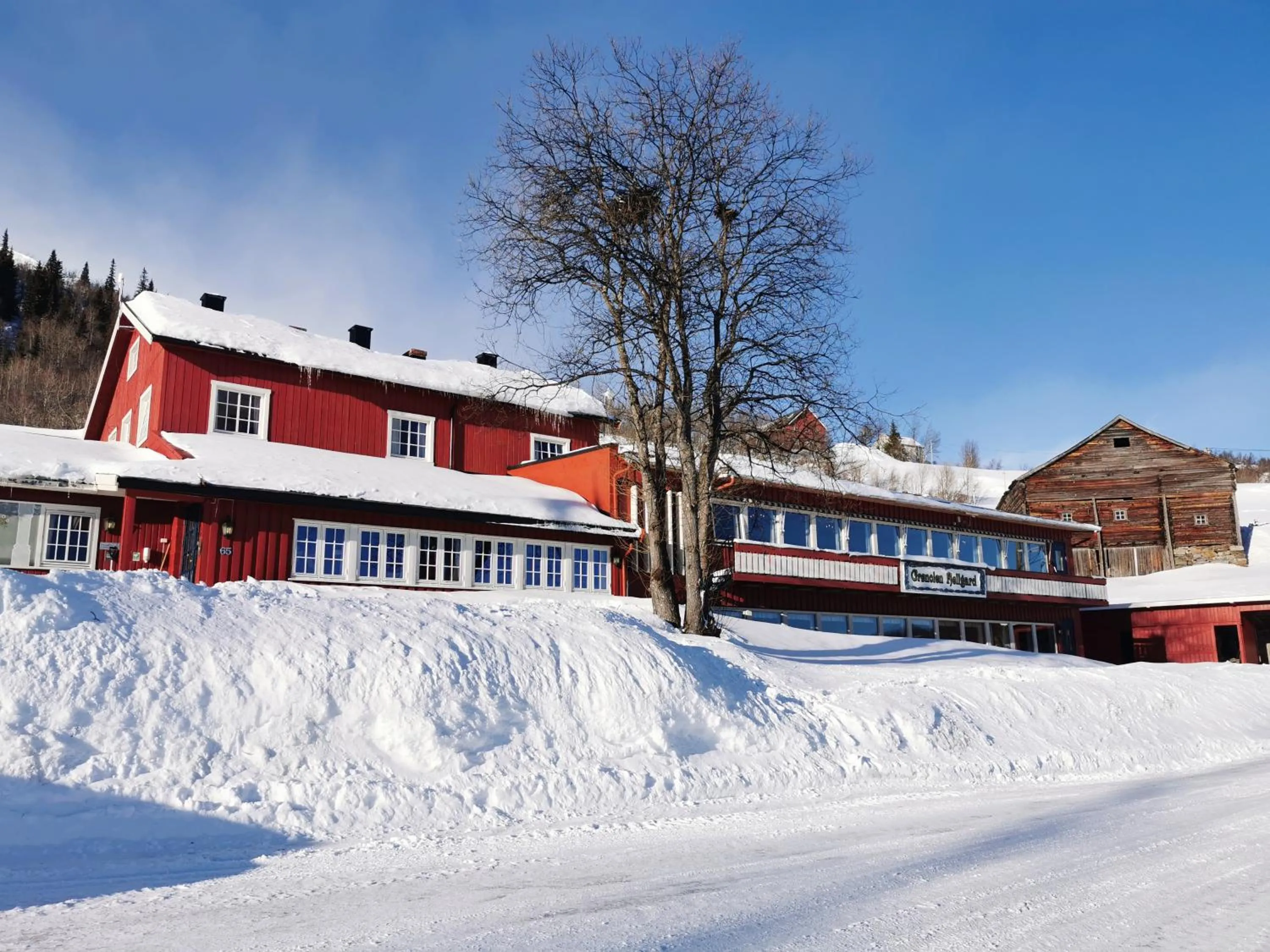 Grønolen Fjellgard