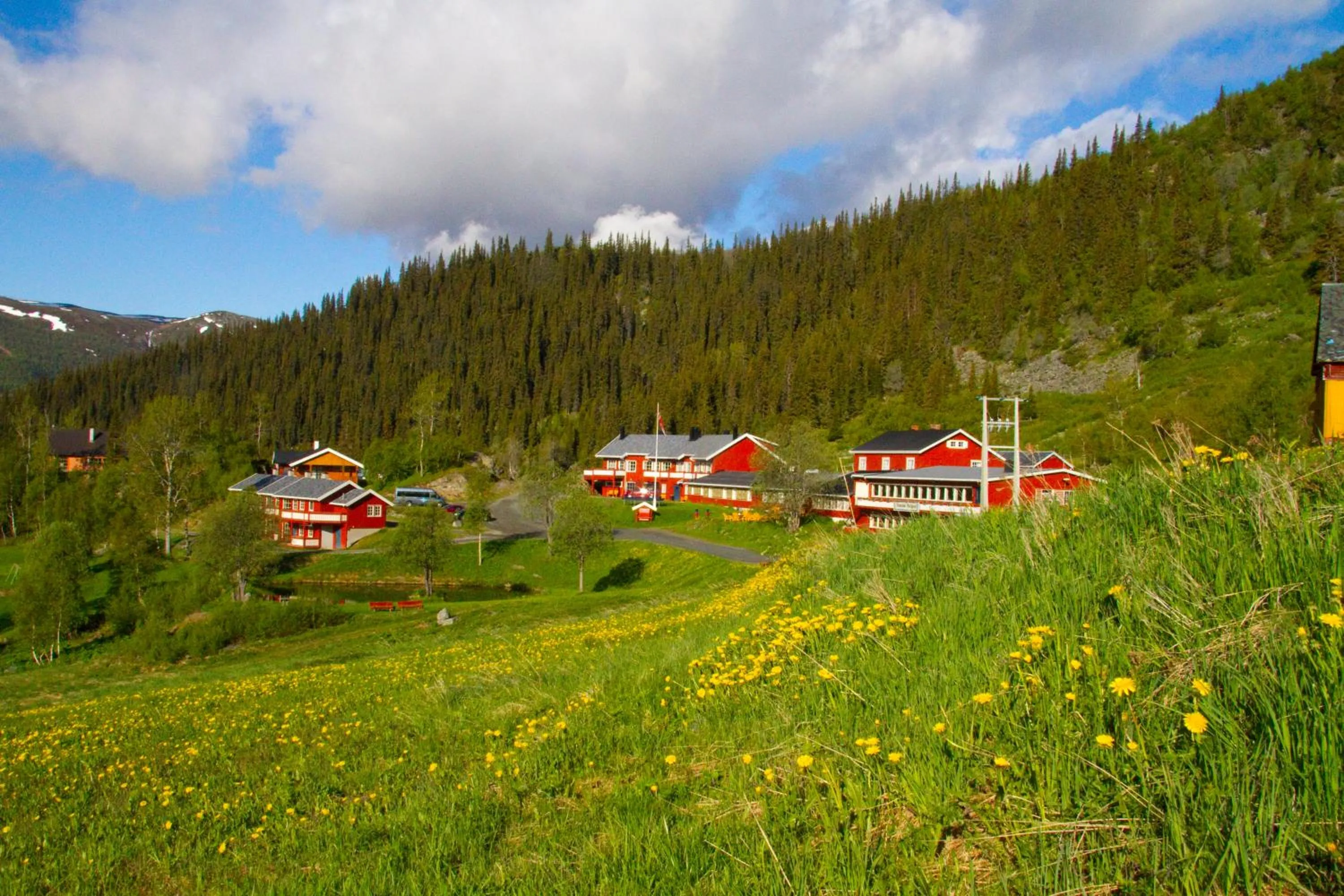 Grønolen Fjellgard