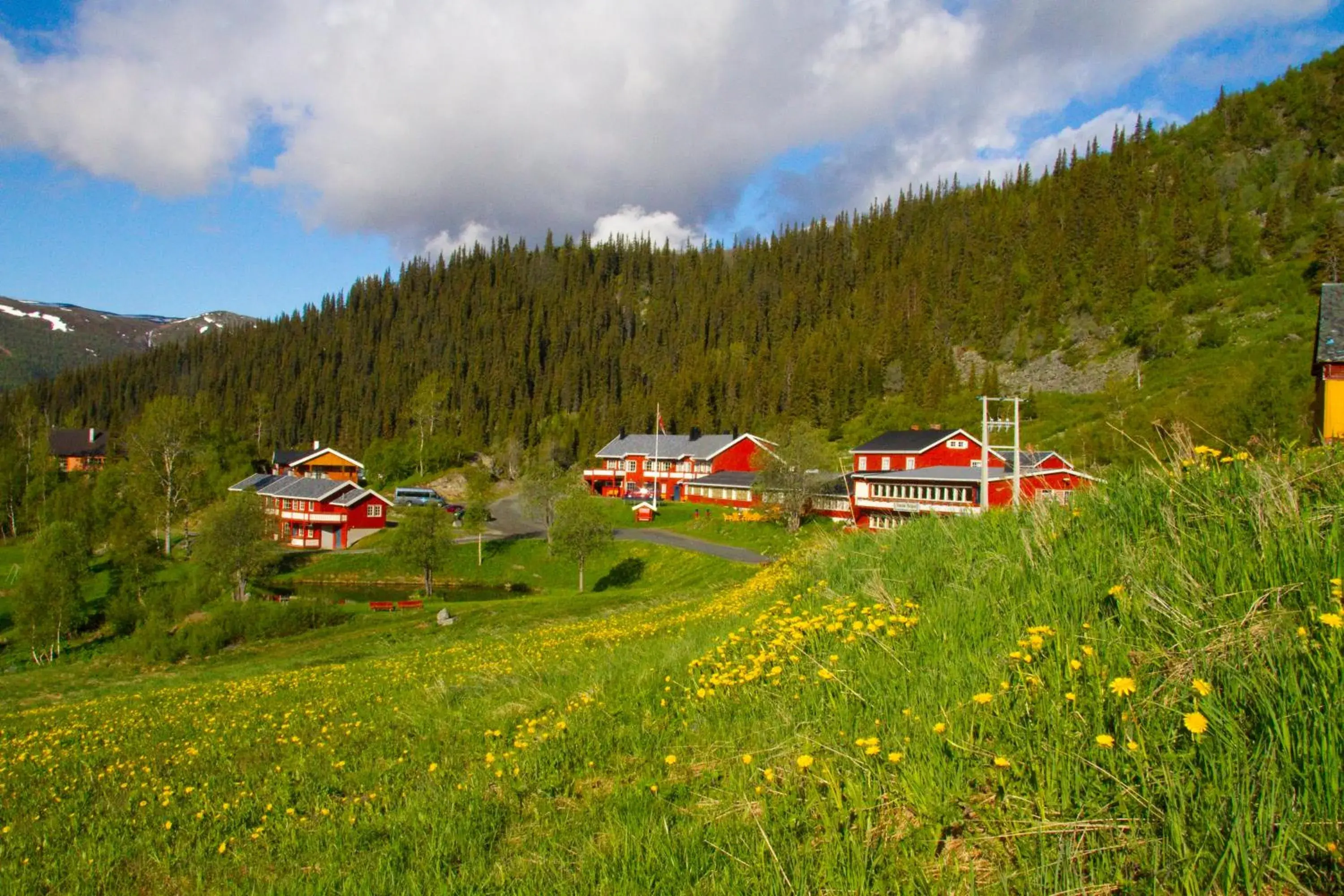 Grønolen Fjellgard Grønolen Fjellgard