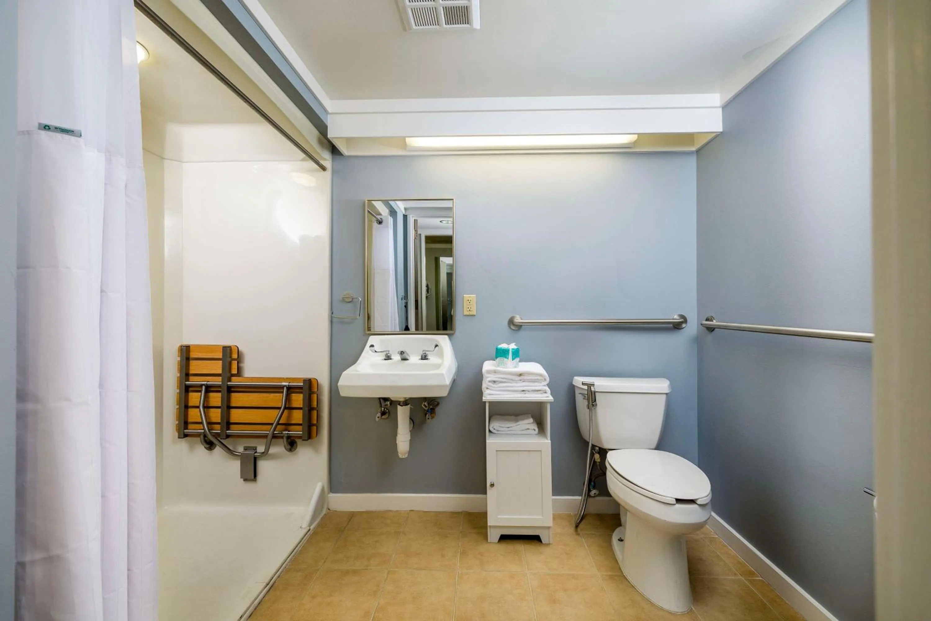 Bathroom in Waynesville Inn & Golf Club, Trademark Collection by Wyndham