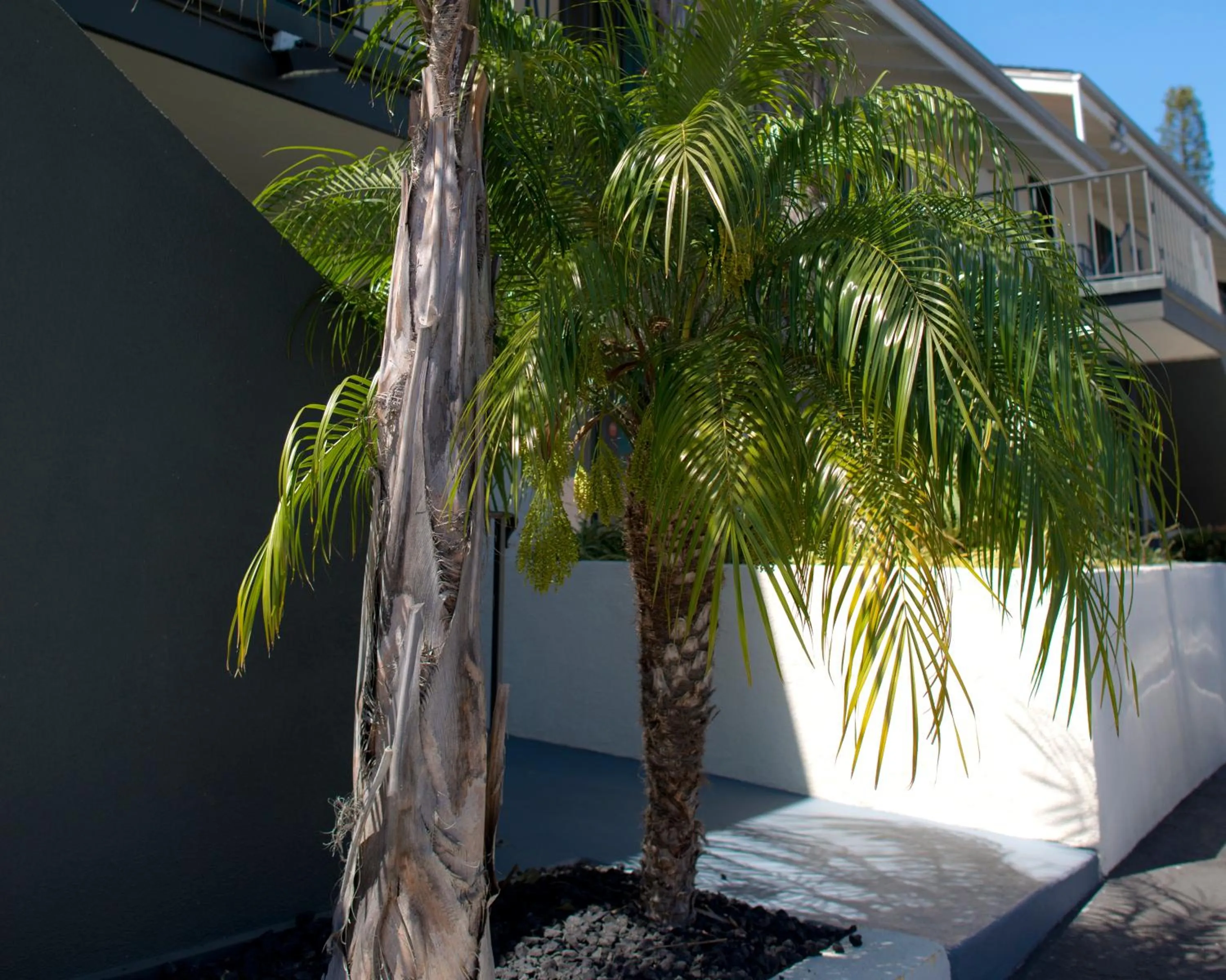 Facade/entrance in Orange Tree Inn